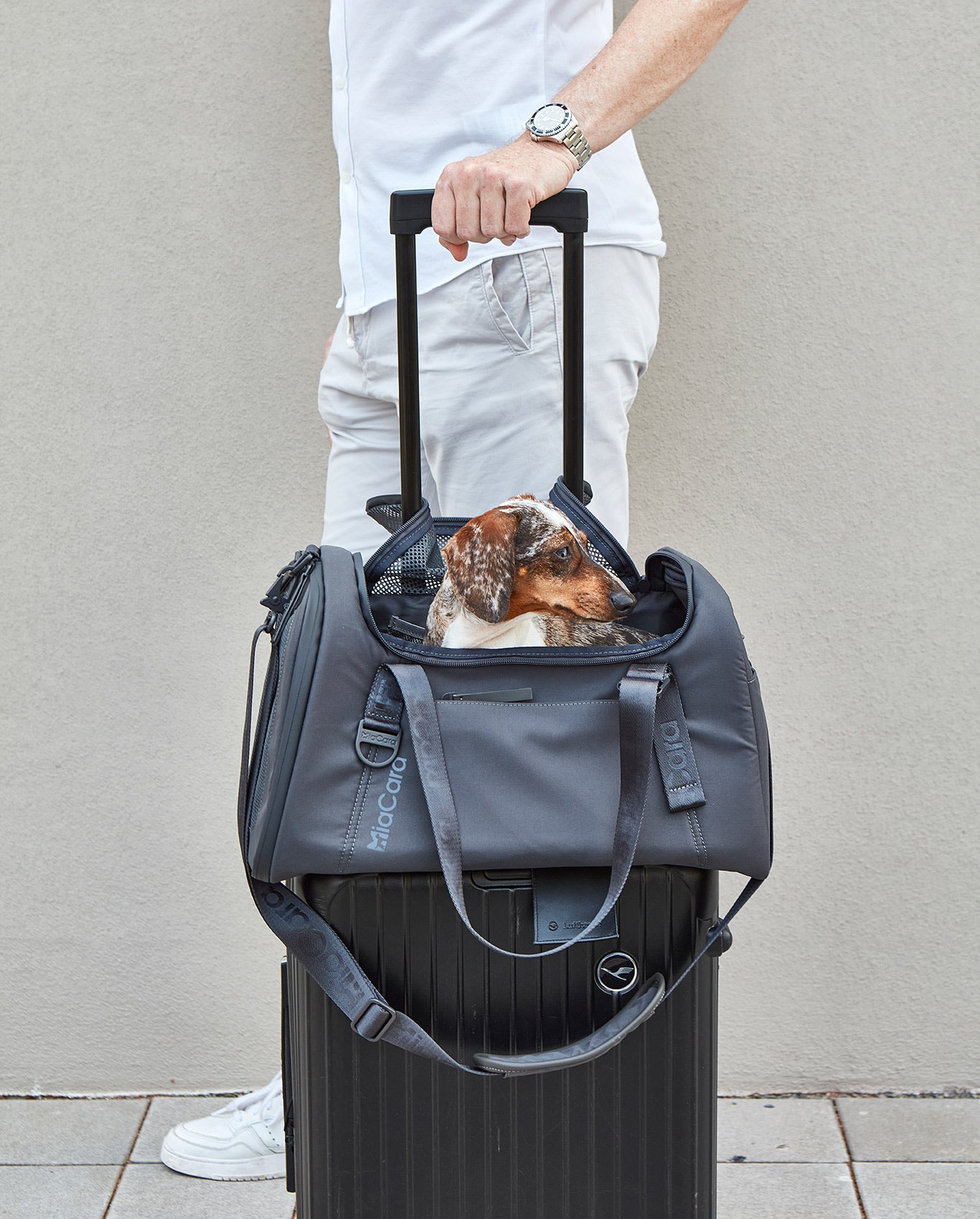 MiaCara Volata Flugreisetasche Asphalt Hundetasche