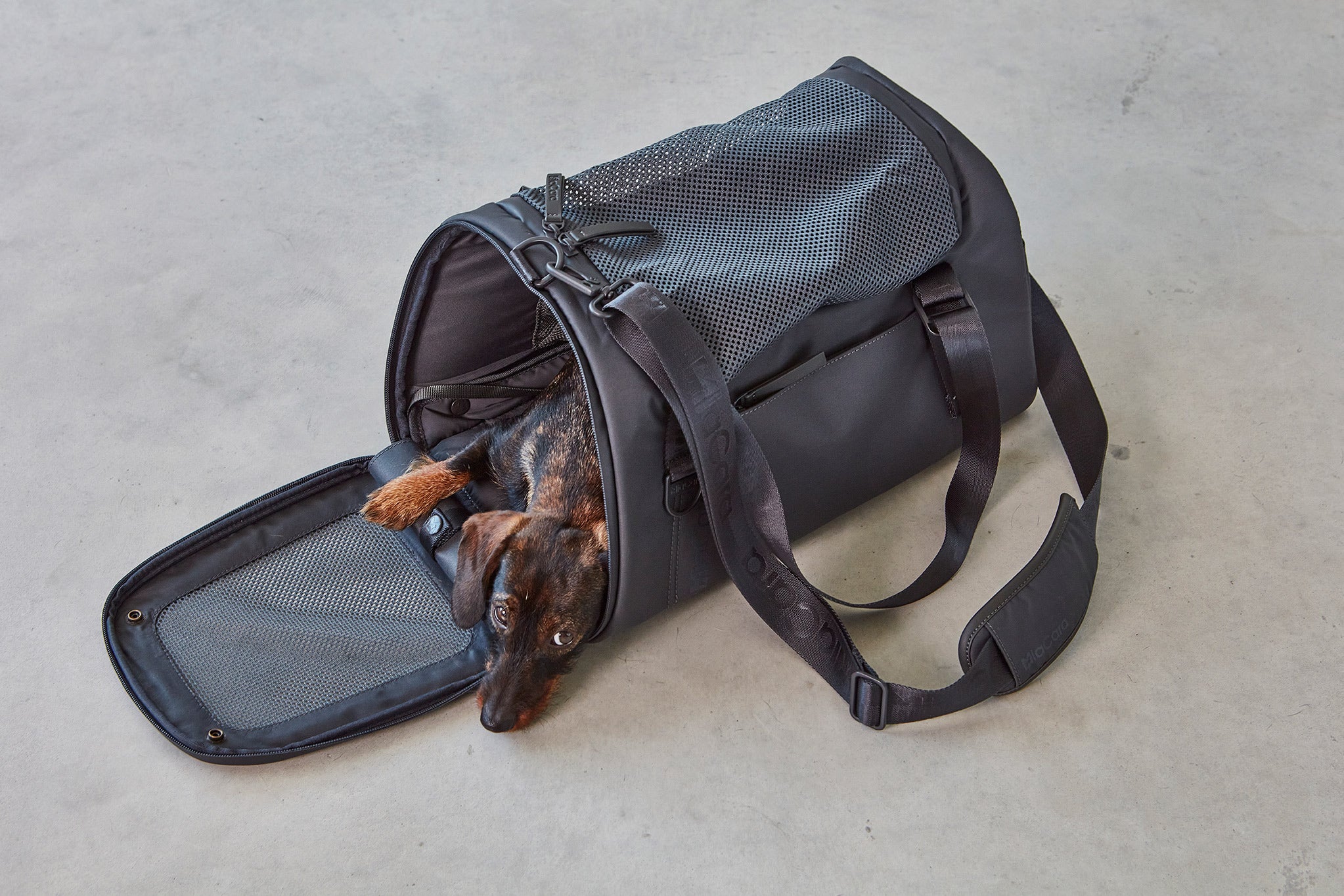 MiaCara Volata Flugreisetasche Asphalt Urlaub mit Hund