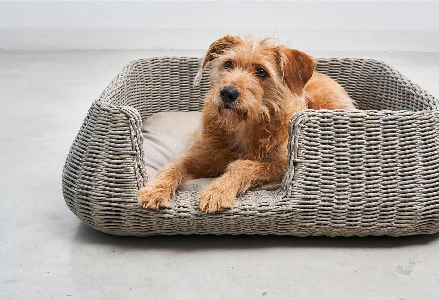 Miacara Mio Hundekorb Greige Outdoor Hundebett mit Rand
