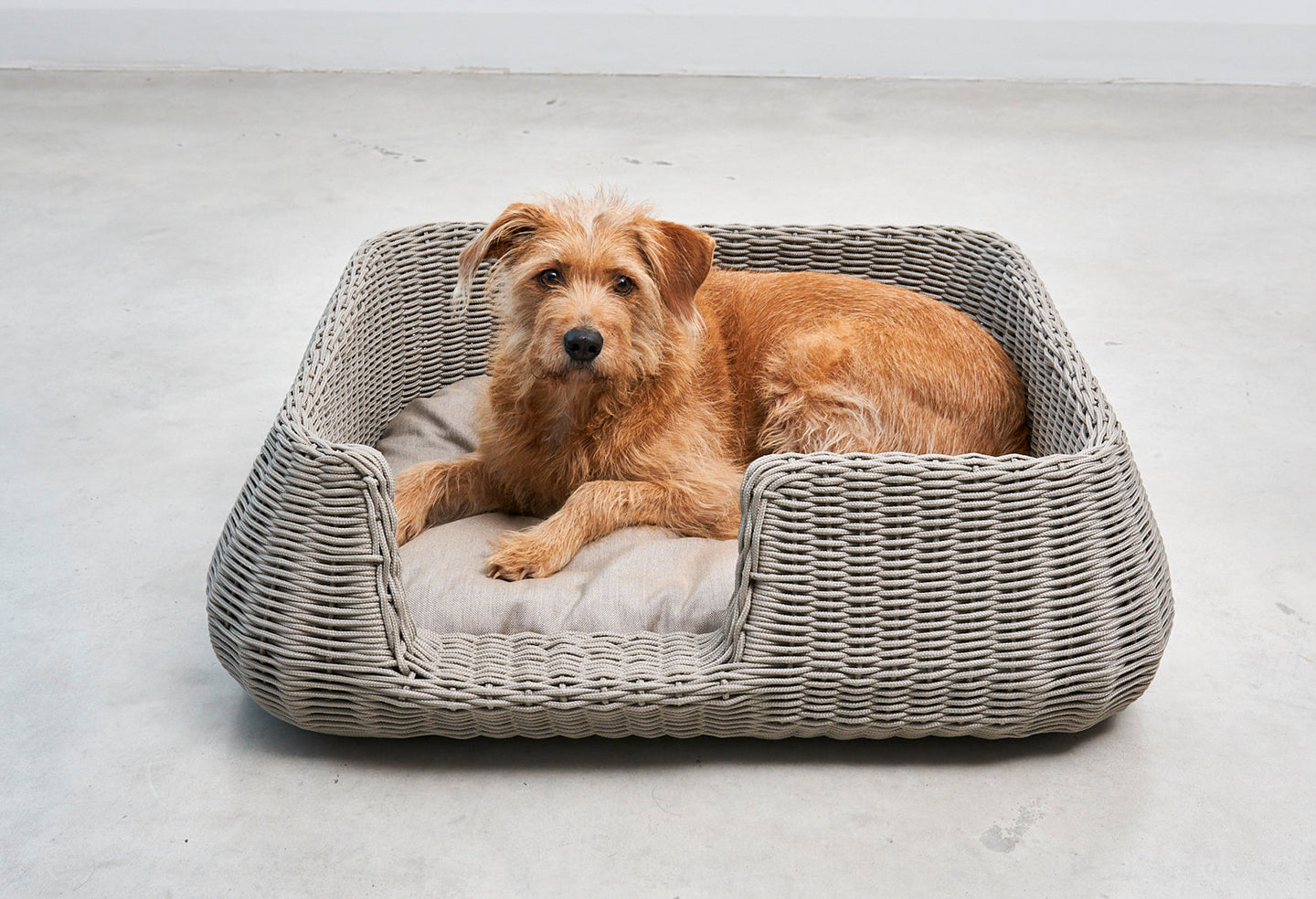 Miacara Mio Hundekorb Greige modernes Hundebett