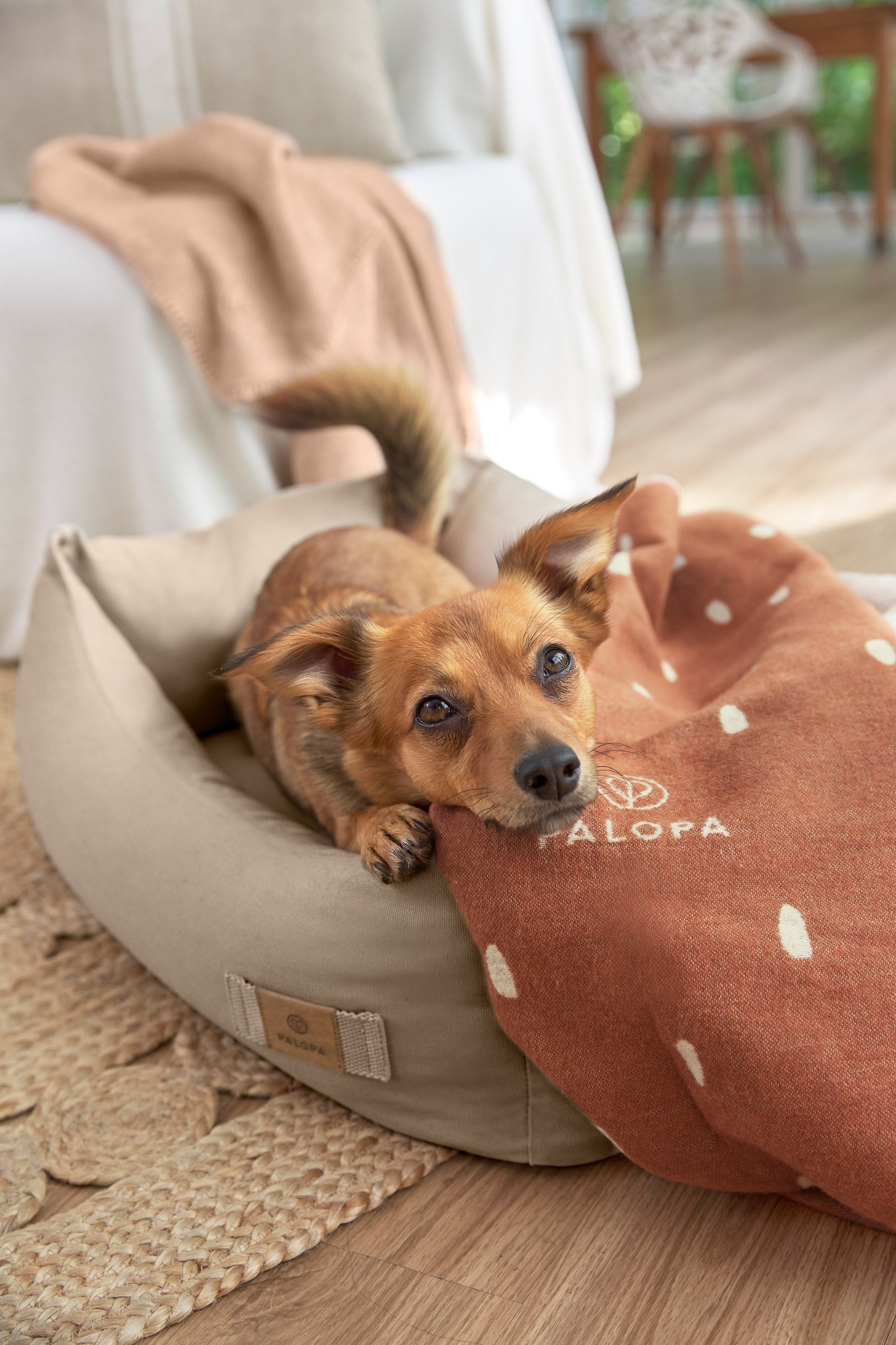 PALOPA Hundedecke Ida Punkte Zimt milchig Hundebett Fred Humus Hundebett fuer kleine Hunde