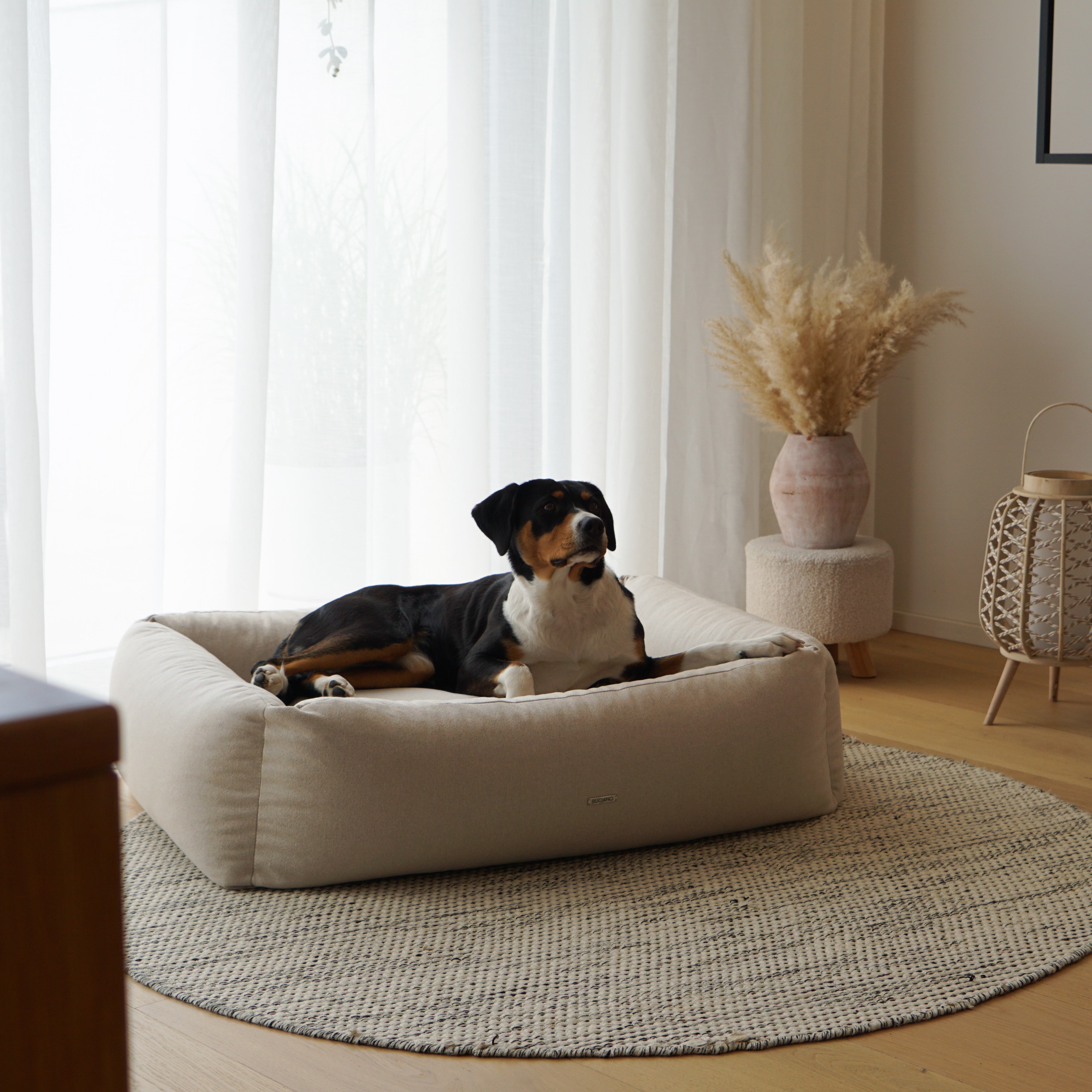 BUCIANO Hundebett Contar Beige hochwertiges Hundebett