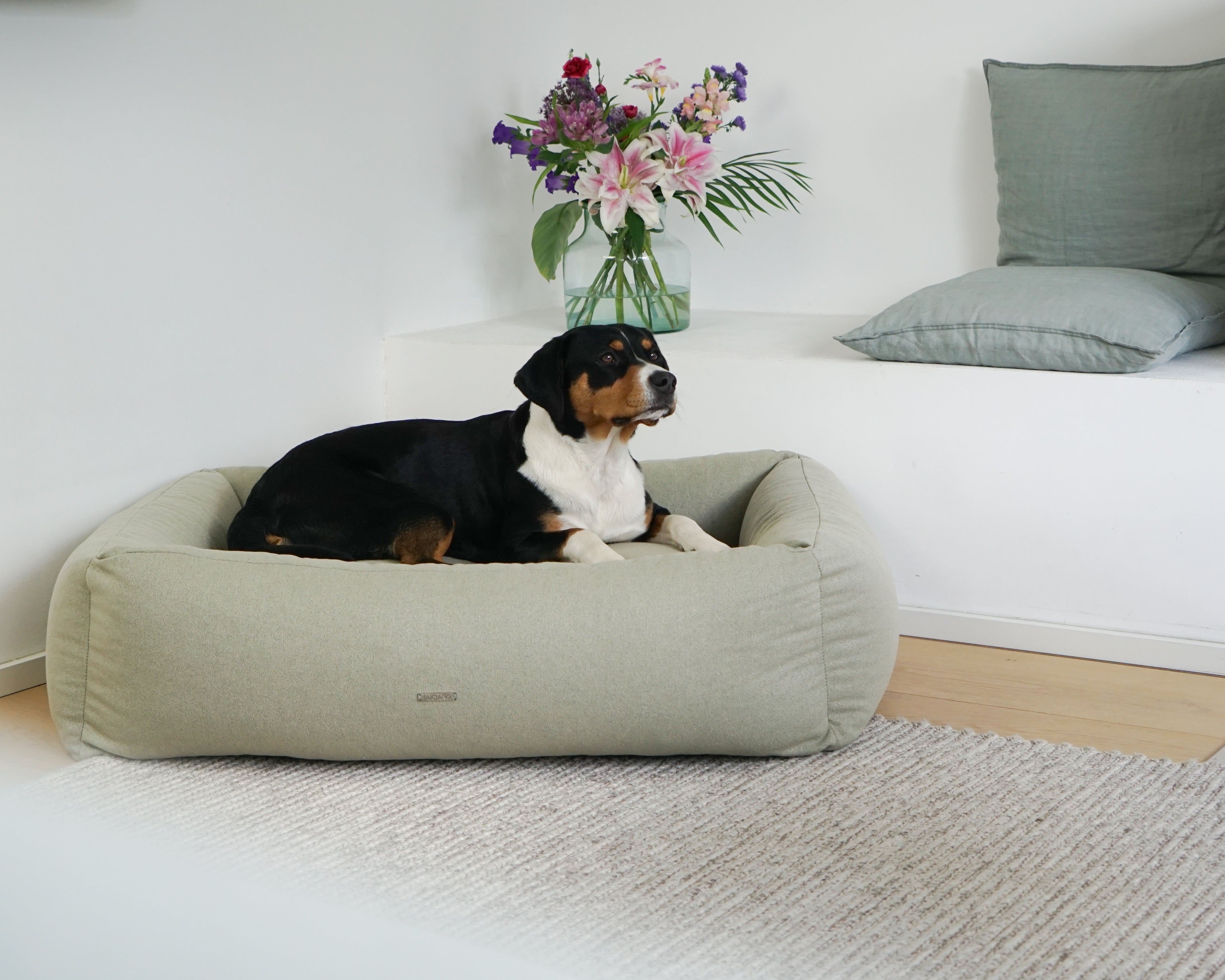 BUCIANO Hundebett Contar Salbei hochwertiges Hundebett