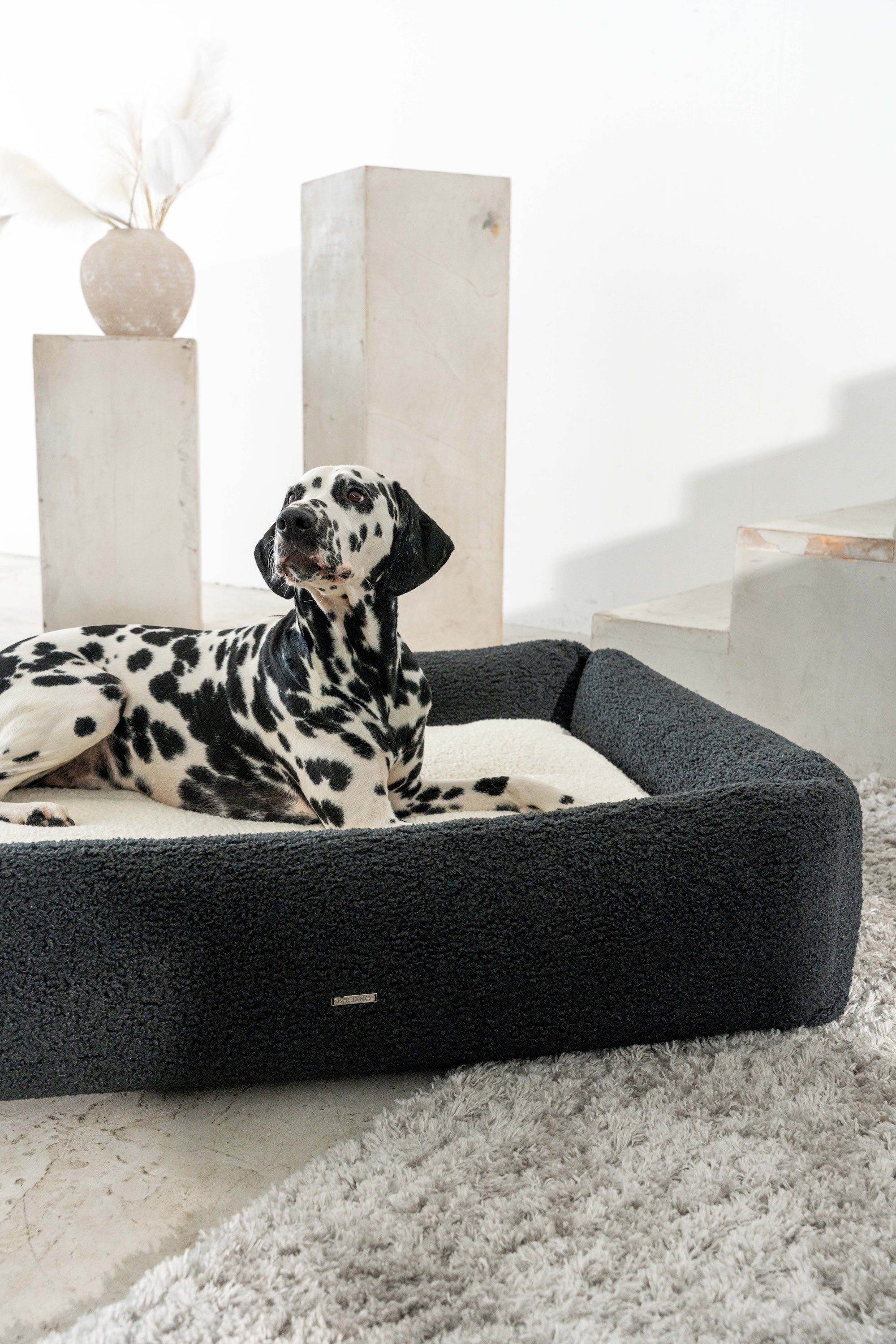 BUCIANO Hundebett Oreo Wollweiß Hundebett hergestellt in Deutschland