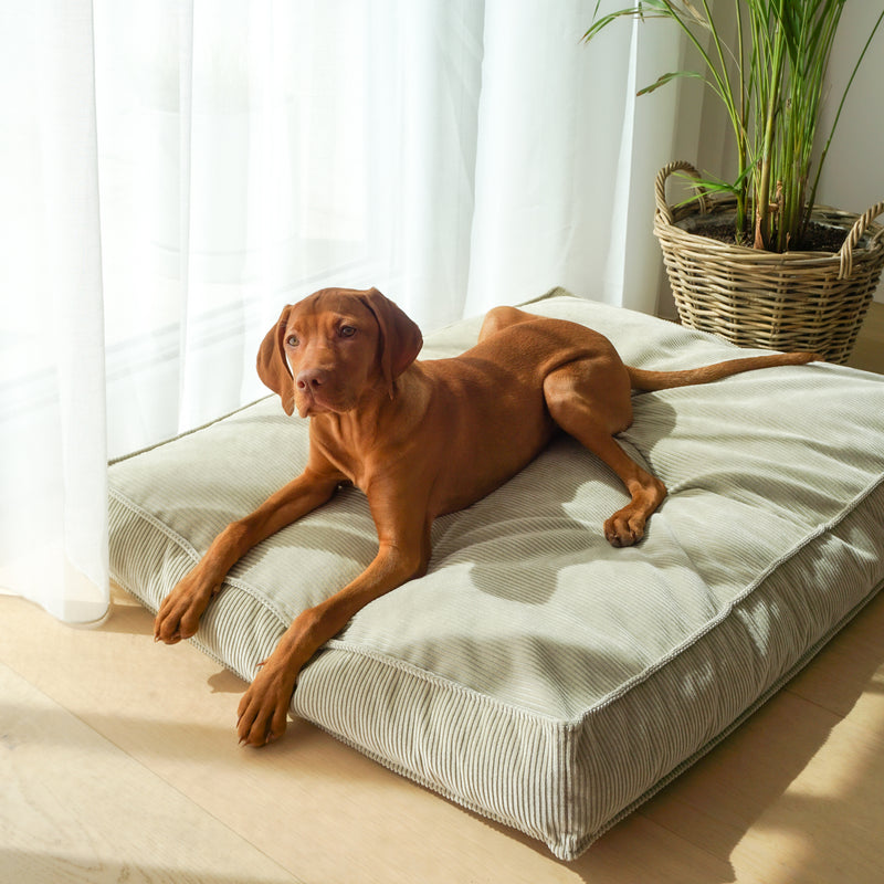 Buciano Hundekissen Leia Beige orthopaedisches Hundebett aus Cord