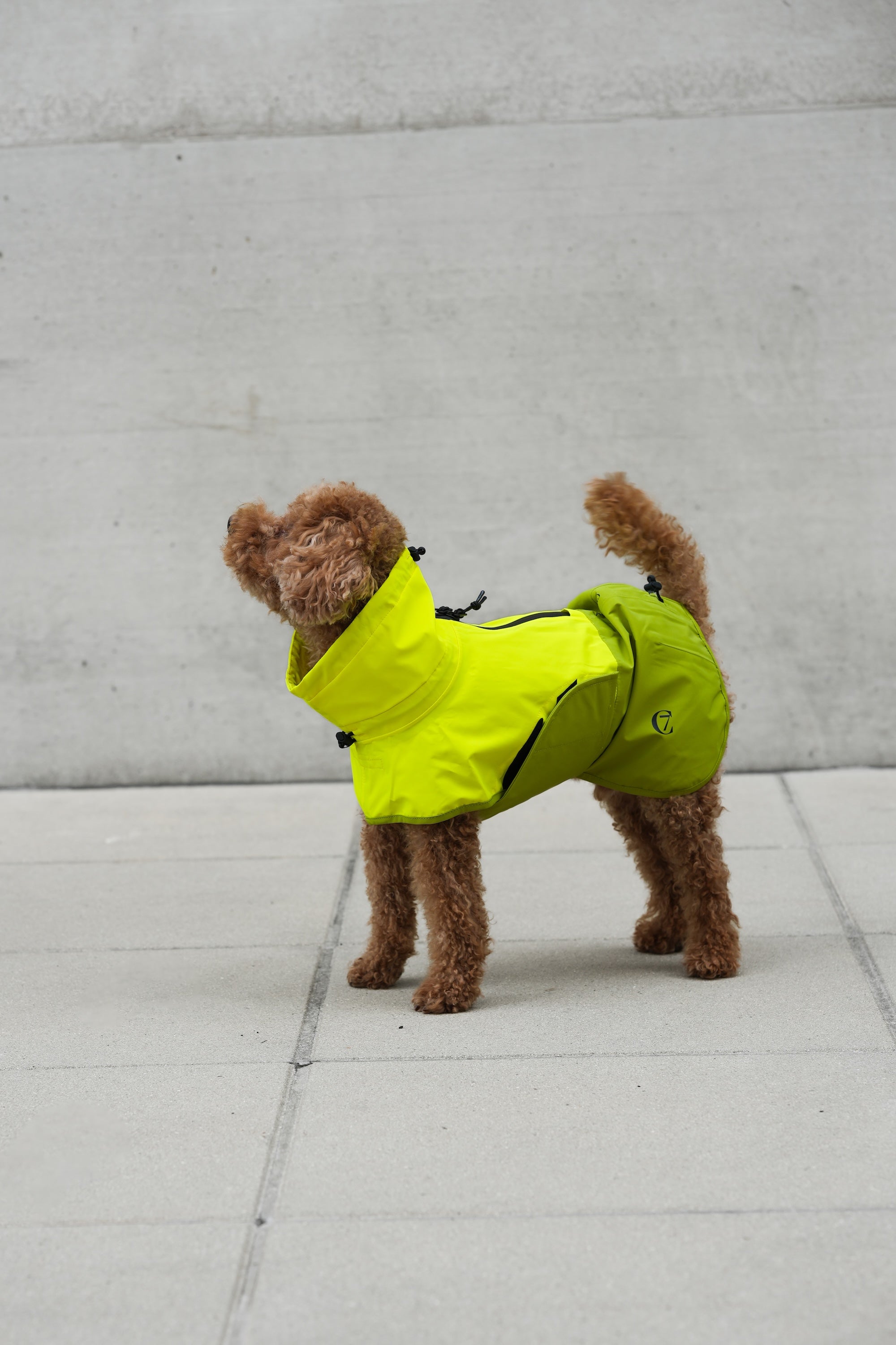 Cloud7 Hunderegenmantel Aktiv Neon Green Light Olive Hunderegenmantel Regenmantel Hund wasserabweisend