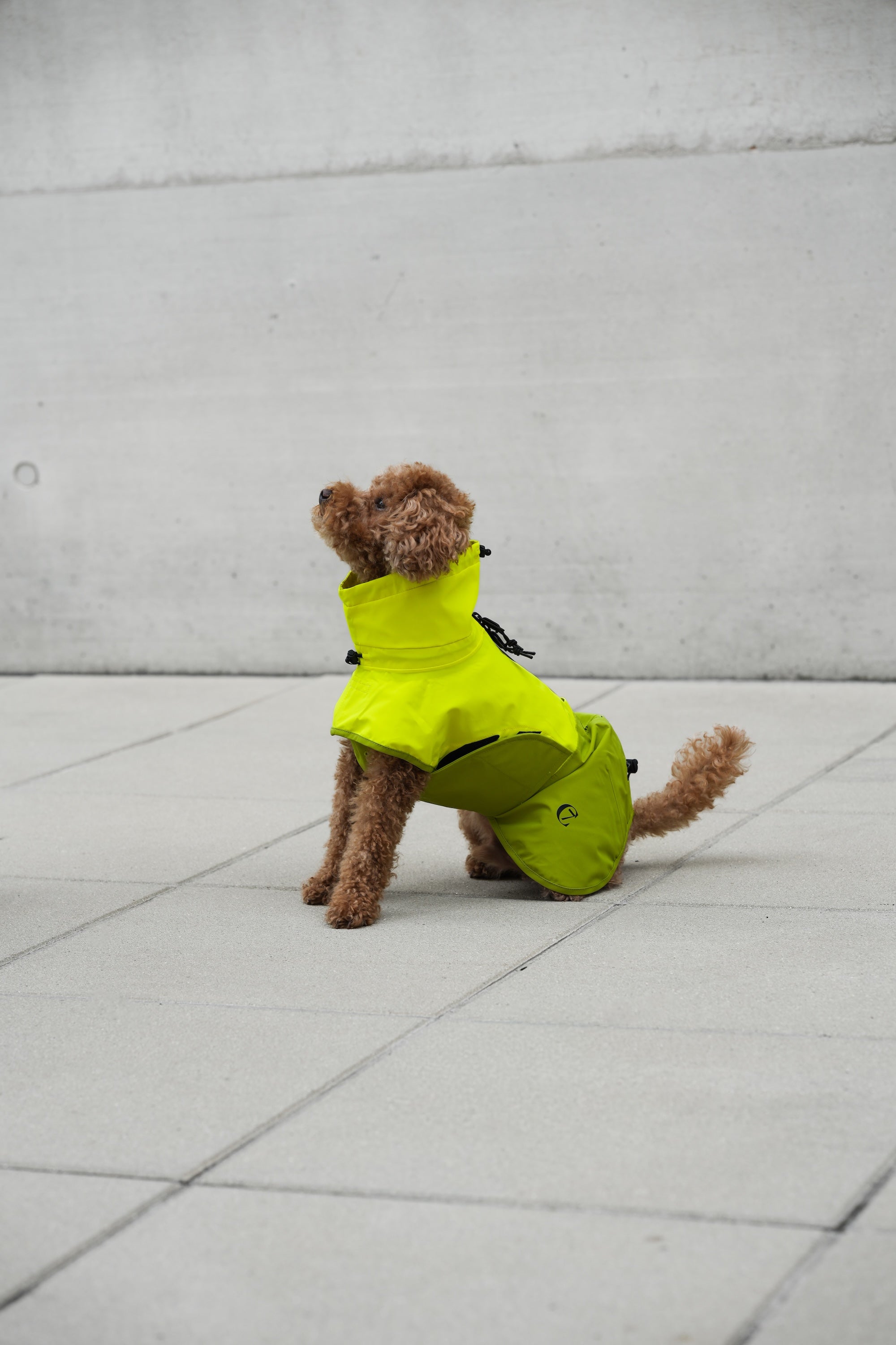 Cloud7 Hunderegenmantel Aktiv Neon Green Light Olive Hunderegenmantel reflektierender Stoff