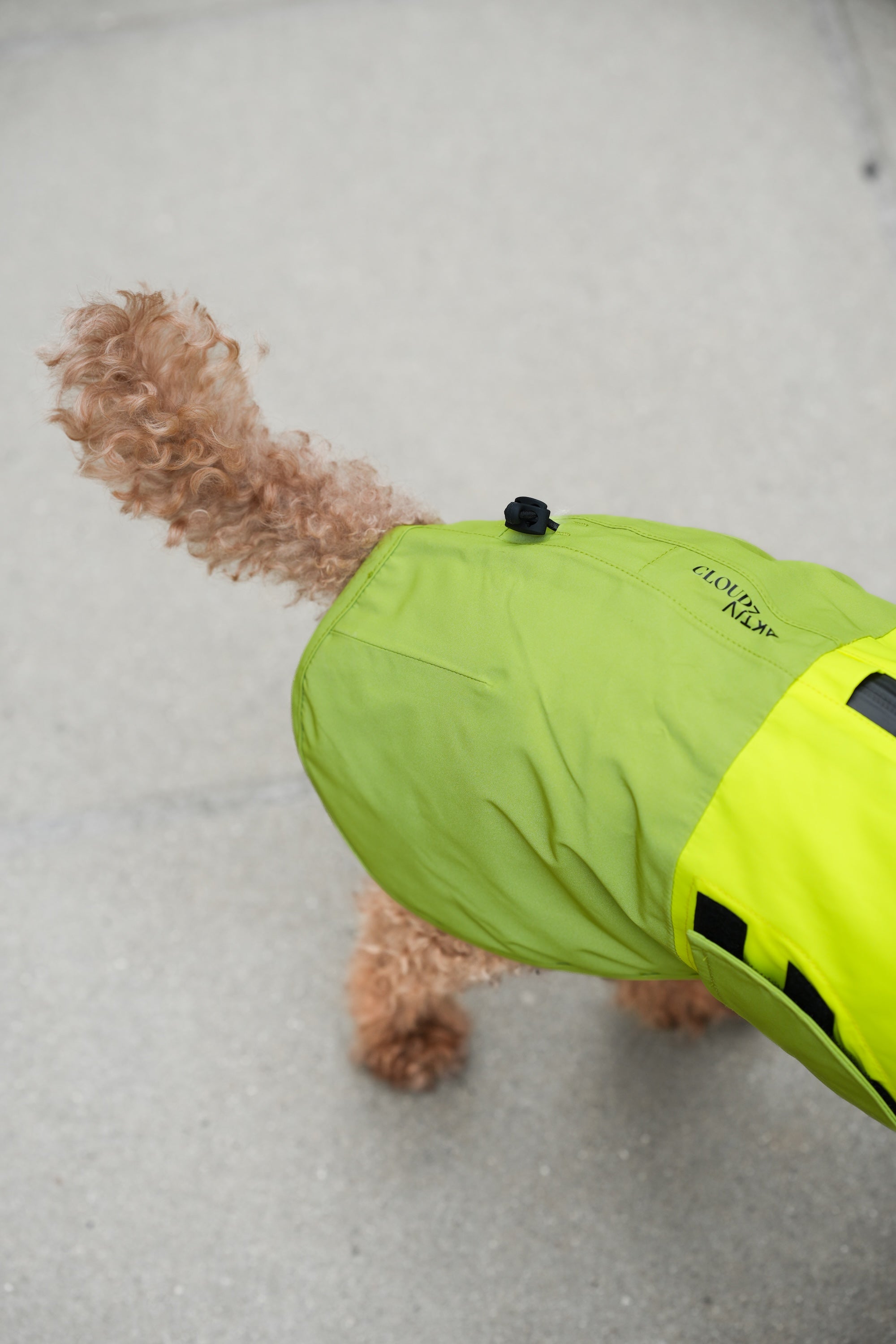 Cloud7 Hunderegenmantel Aktiv Neon Green Light Olive Hunderegenmantel Regenjacke für Hunde