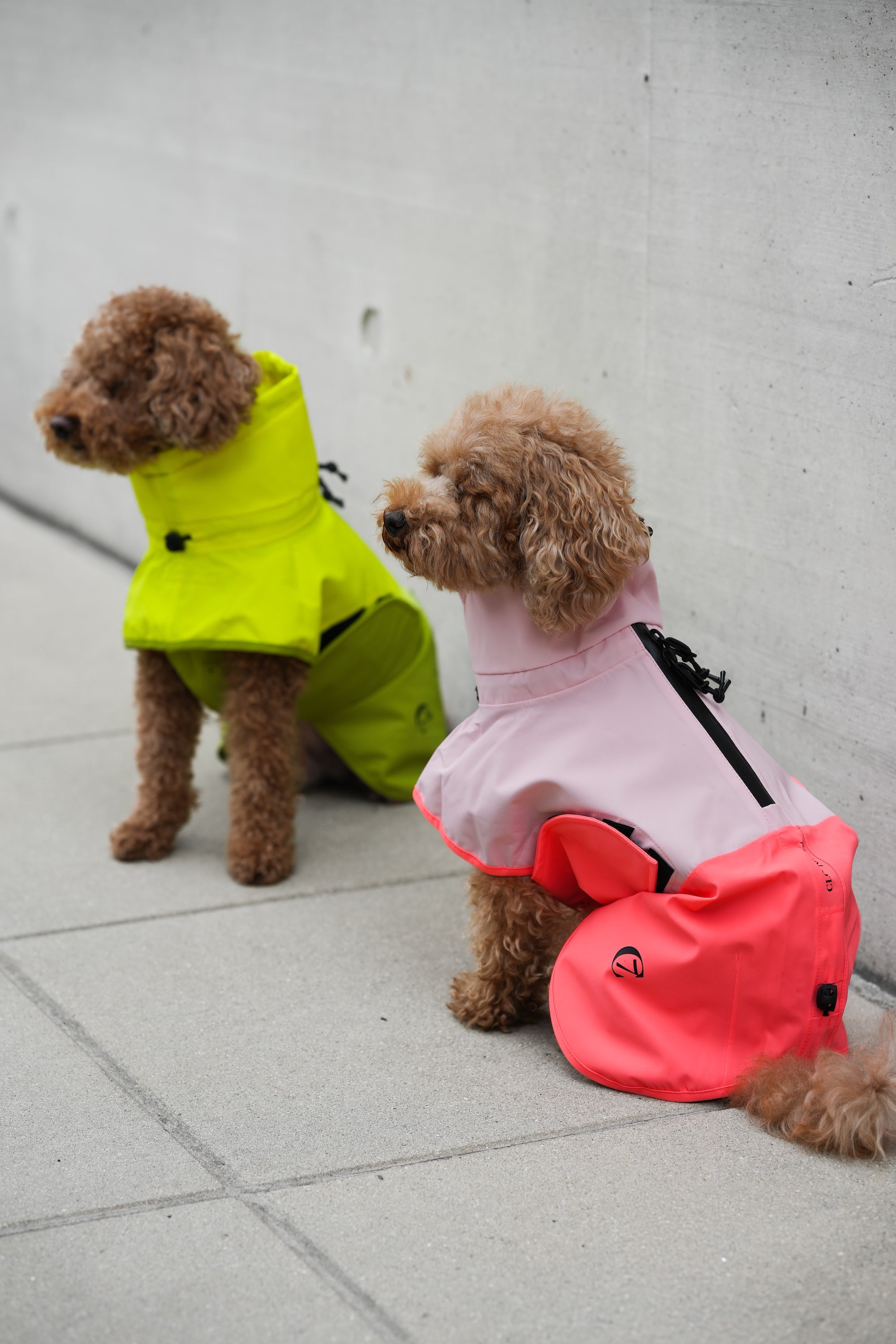 Cloud7 Hunderegenmantel Aktiv Neon Green Light Olive Hunderegenmantel Regenmantel Hunde mit Geschirr