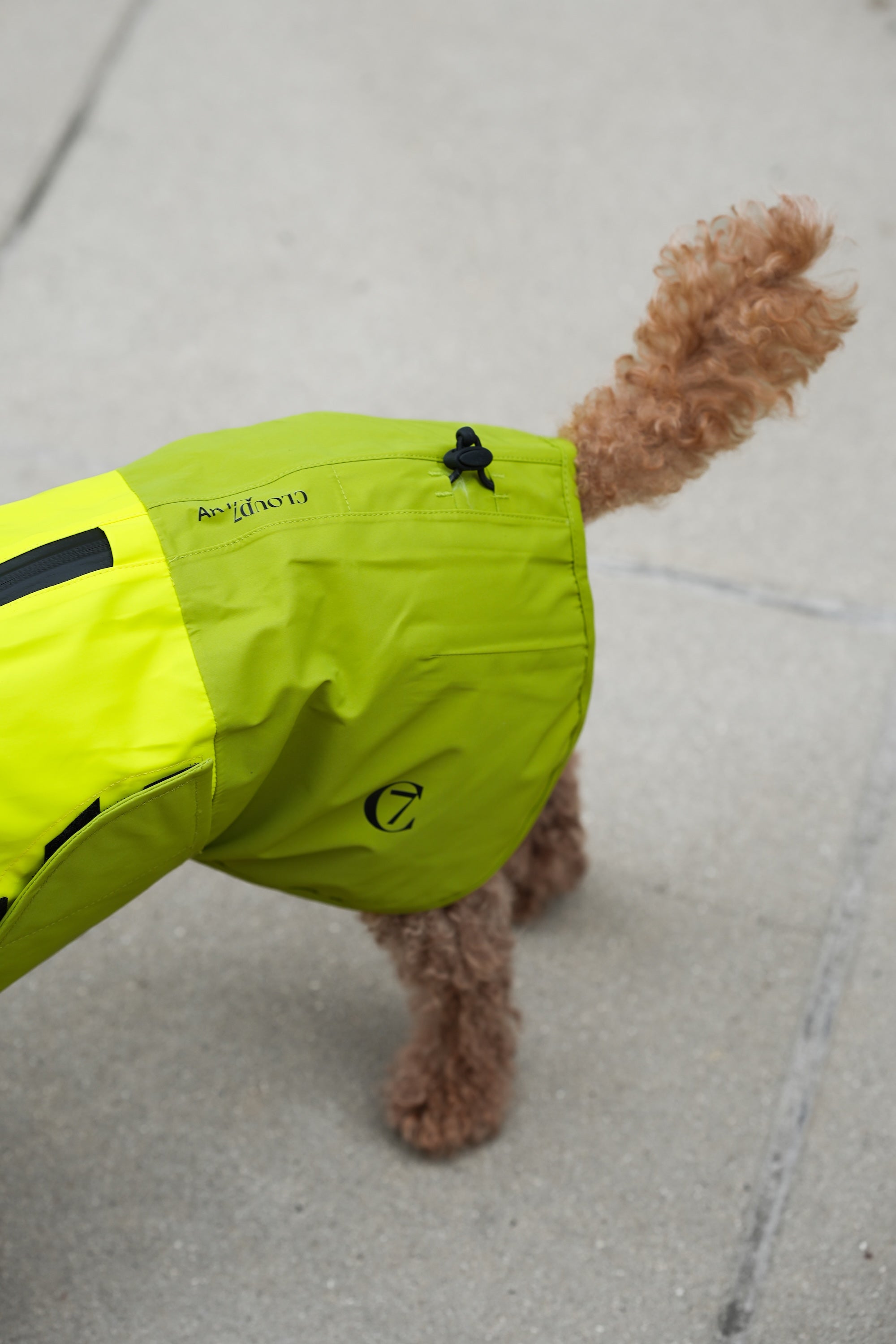Cloud7 Hunderegenmantel Aktiv Neon Green Light Olive Hunderegenmantel Regenmantel für Hunde reflektierend