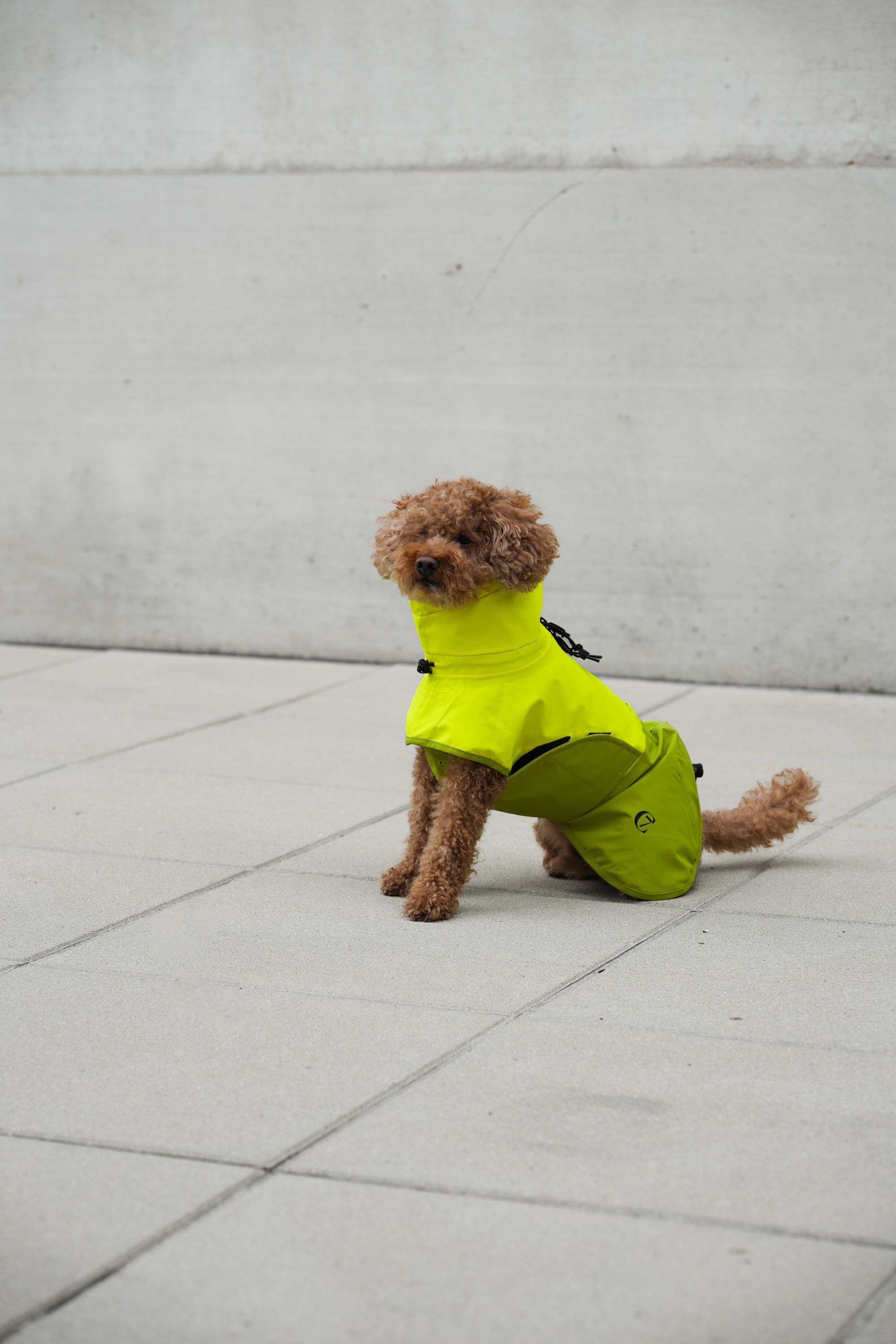 Cloud7 Hunderegenmantel Aktiv Neon Green Light Olive Regenmantel Hund reflektierend waschbar