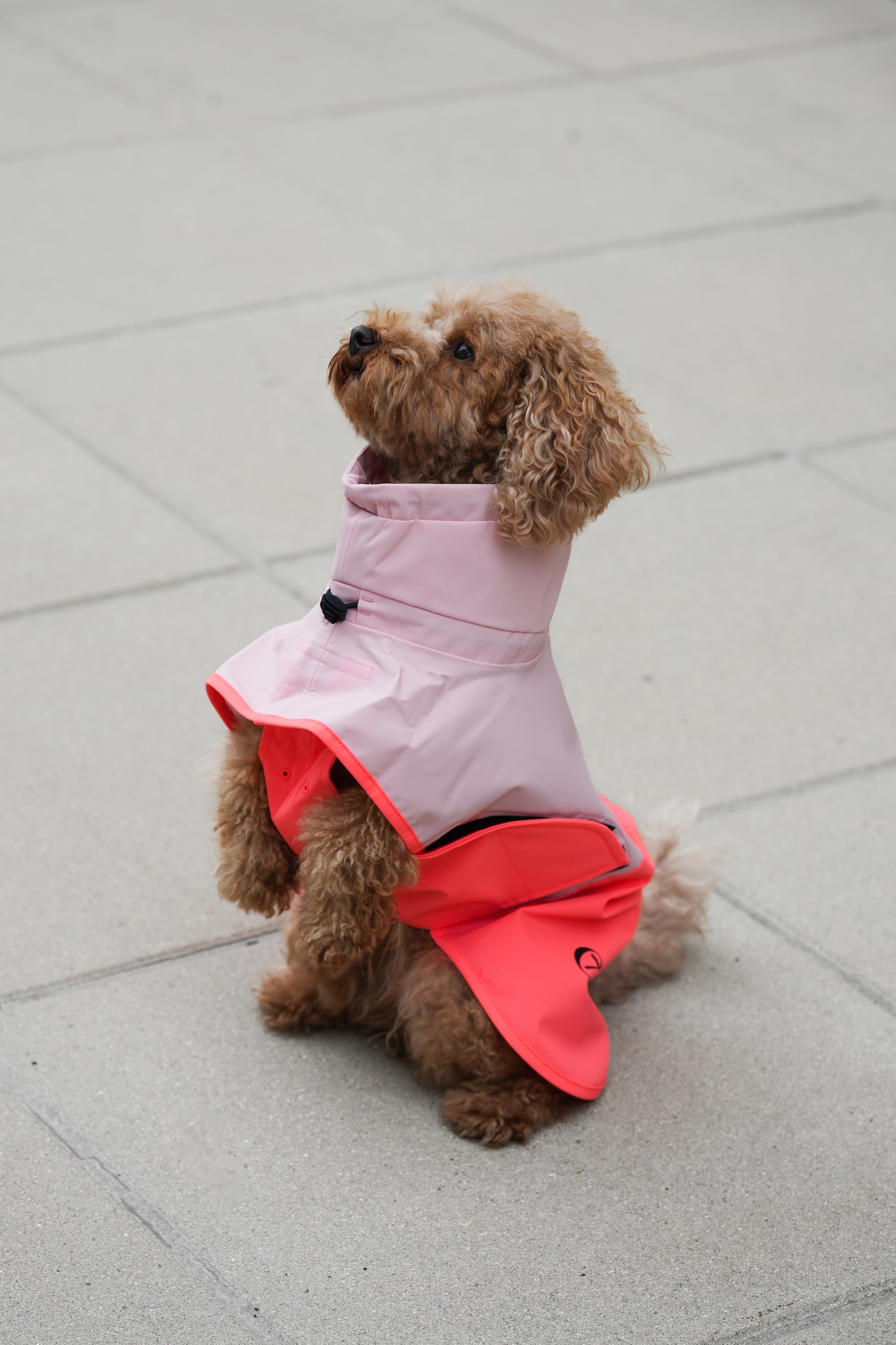 Cloud7 Hunderegenmantel Aktiv Peach Neon Pink Hunderegenmantel Regenjacke für Hunde