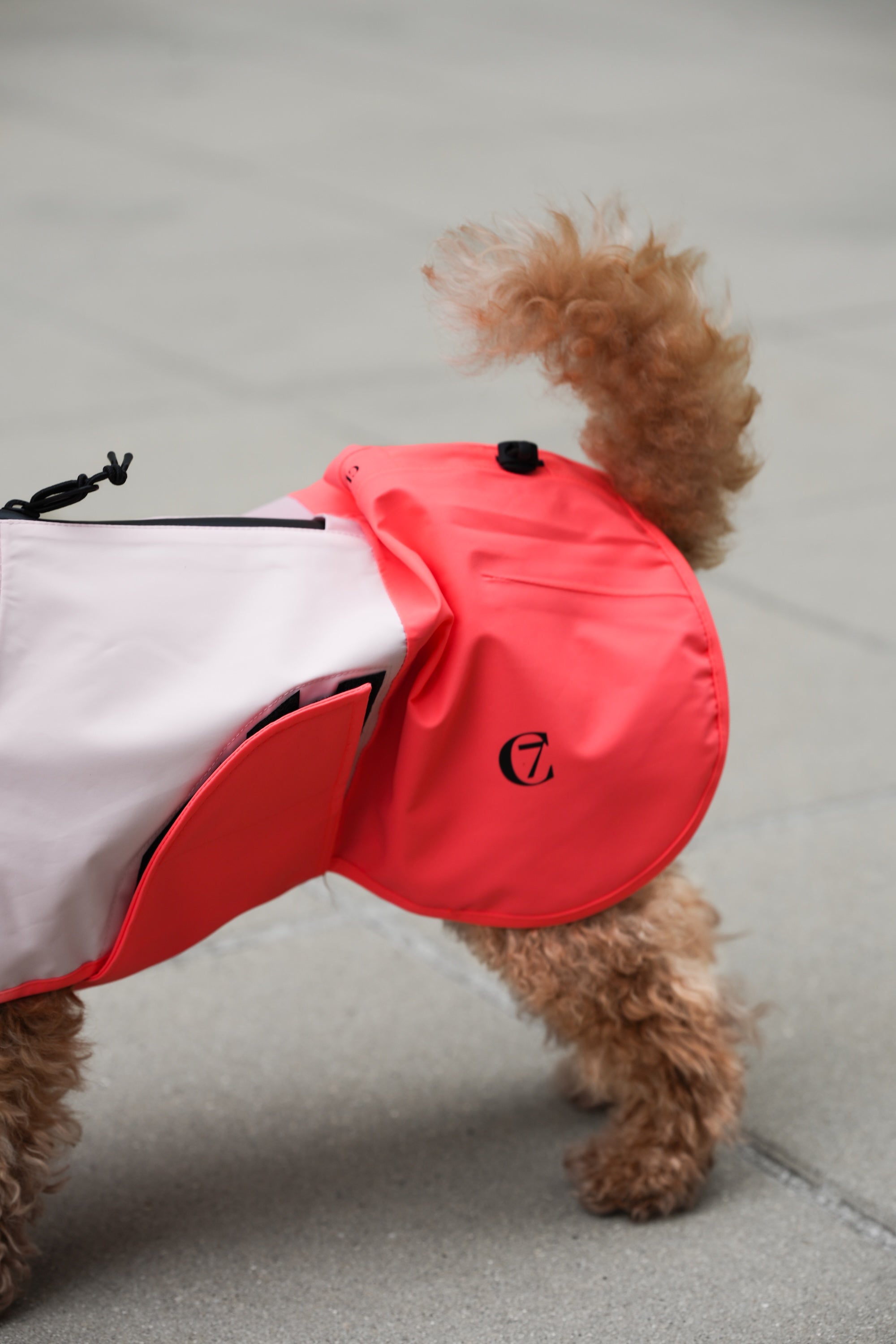 Cloud7 Hunderegenmantel Aktiv Peach Neon Pink Hunderegenmantel Regenmantel Hunde mit Geschirr