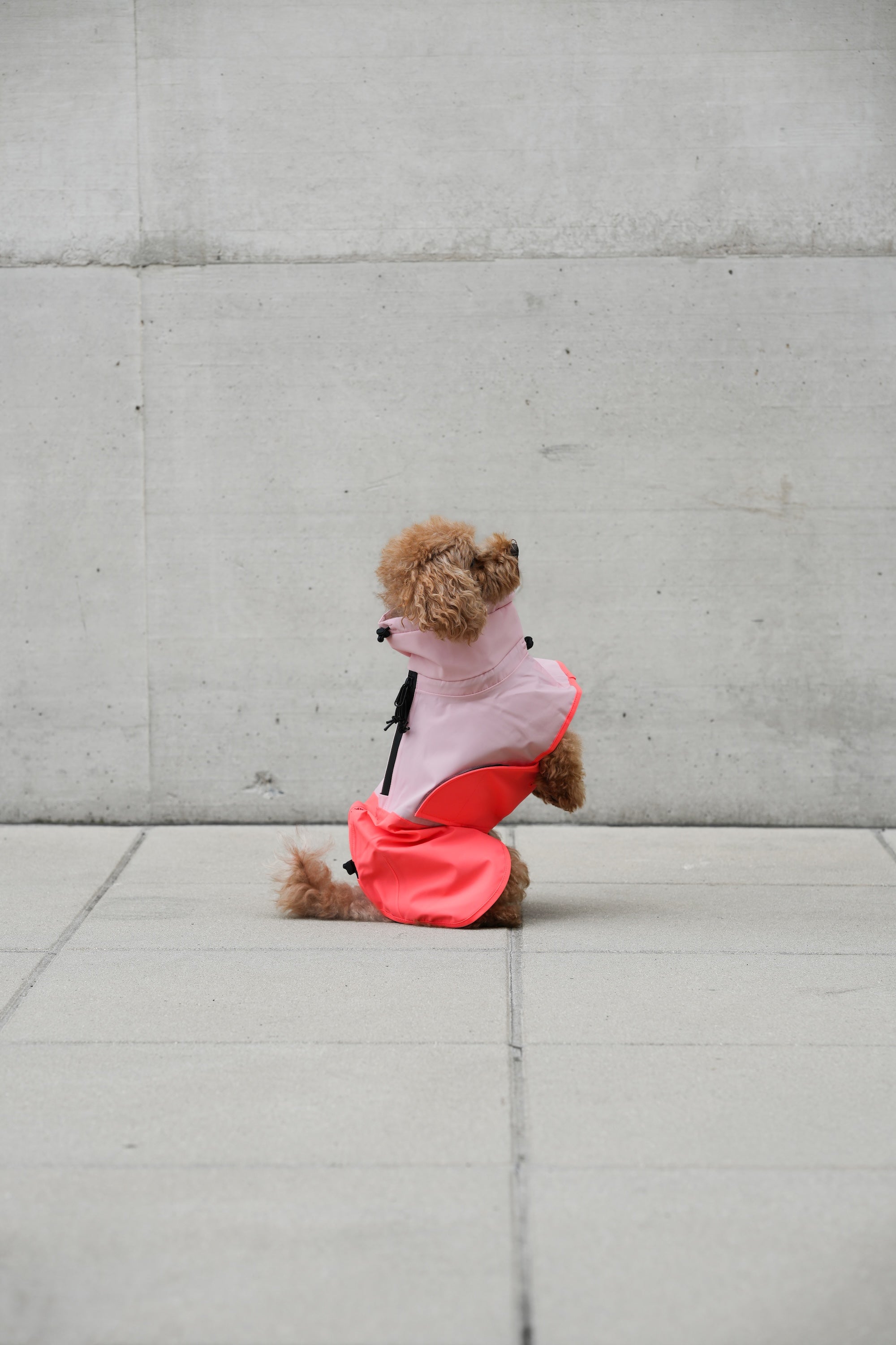 Cloud7 Hunderegenmantel Aktiv Peach Neon Pink Hunderegenmantel Regenmantel für Hunde reflektierend