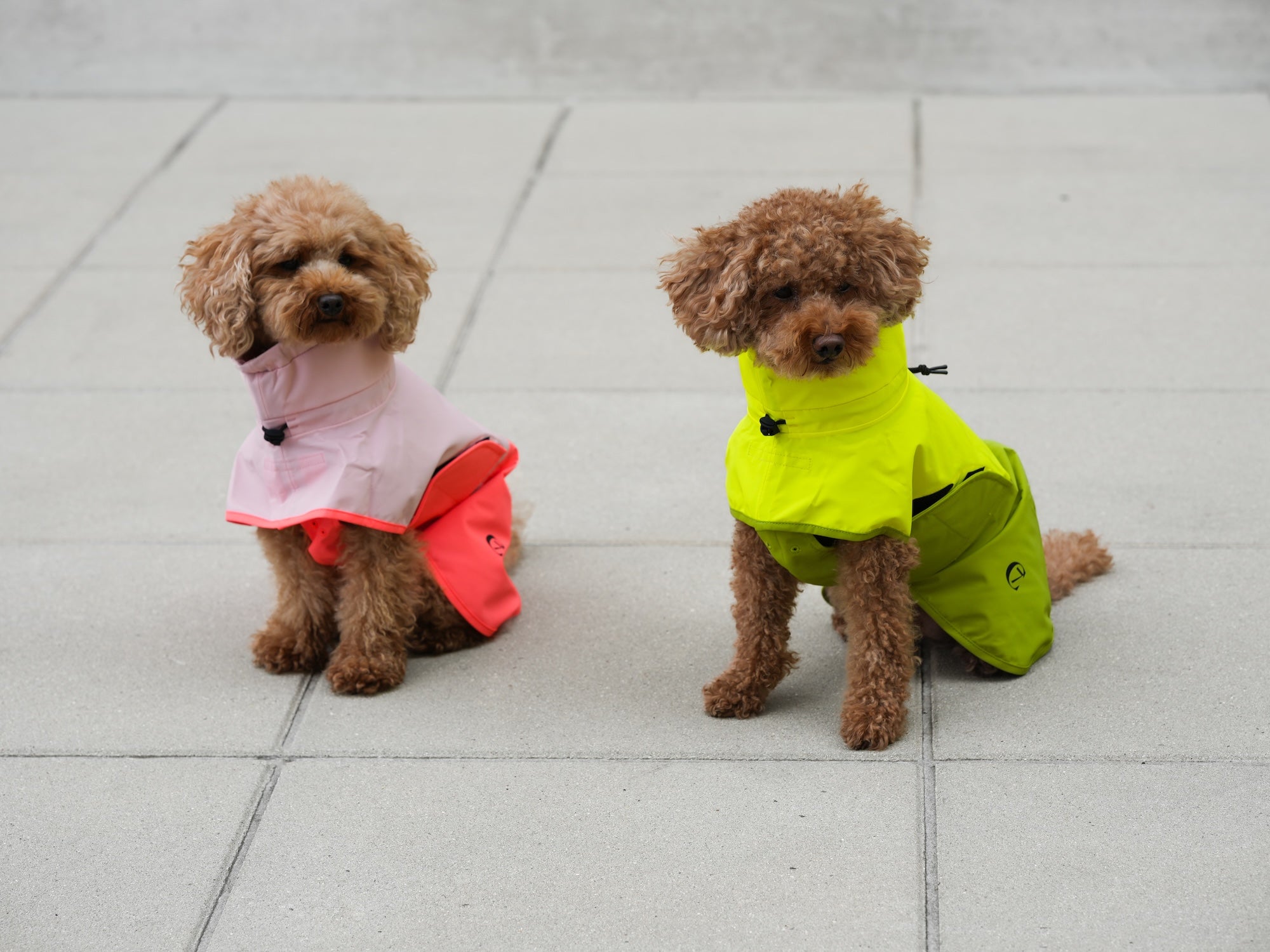 Cloud7 Hunderegenmantel Aktiv Peach Neon Pink Hunderegenmantel mit Geschirr