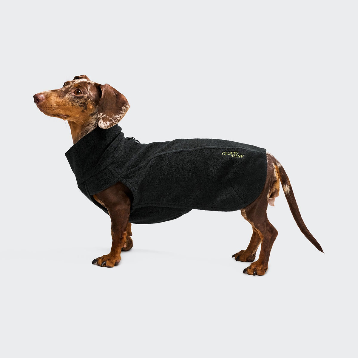 Cloud7 Body Warmer DACKEL AKTIV Black Hundepullover