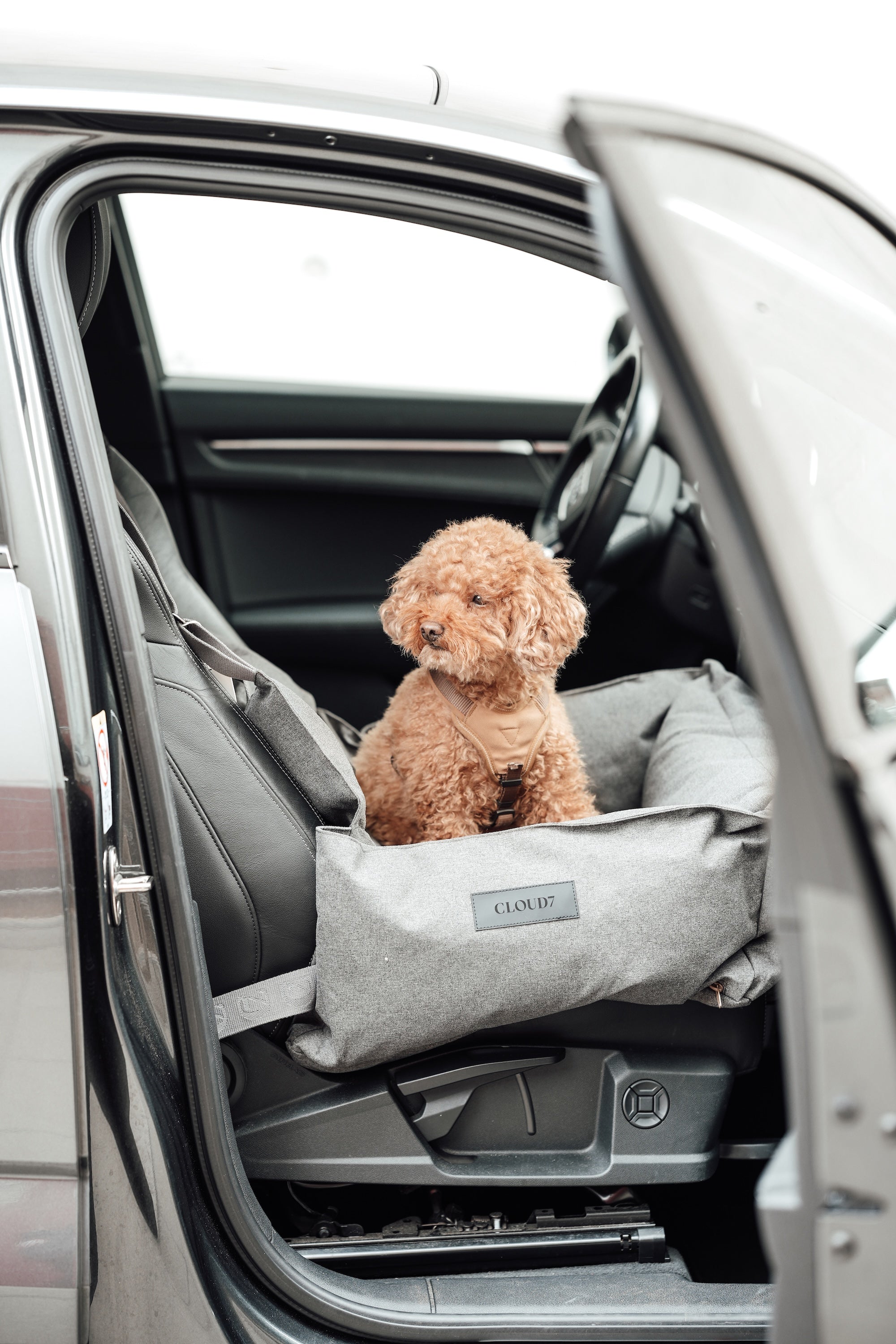Cloud7 Hundeautositz Getaway Light Graphite Hundeautositz waschbar