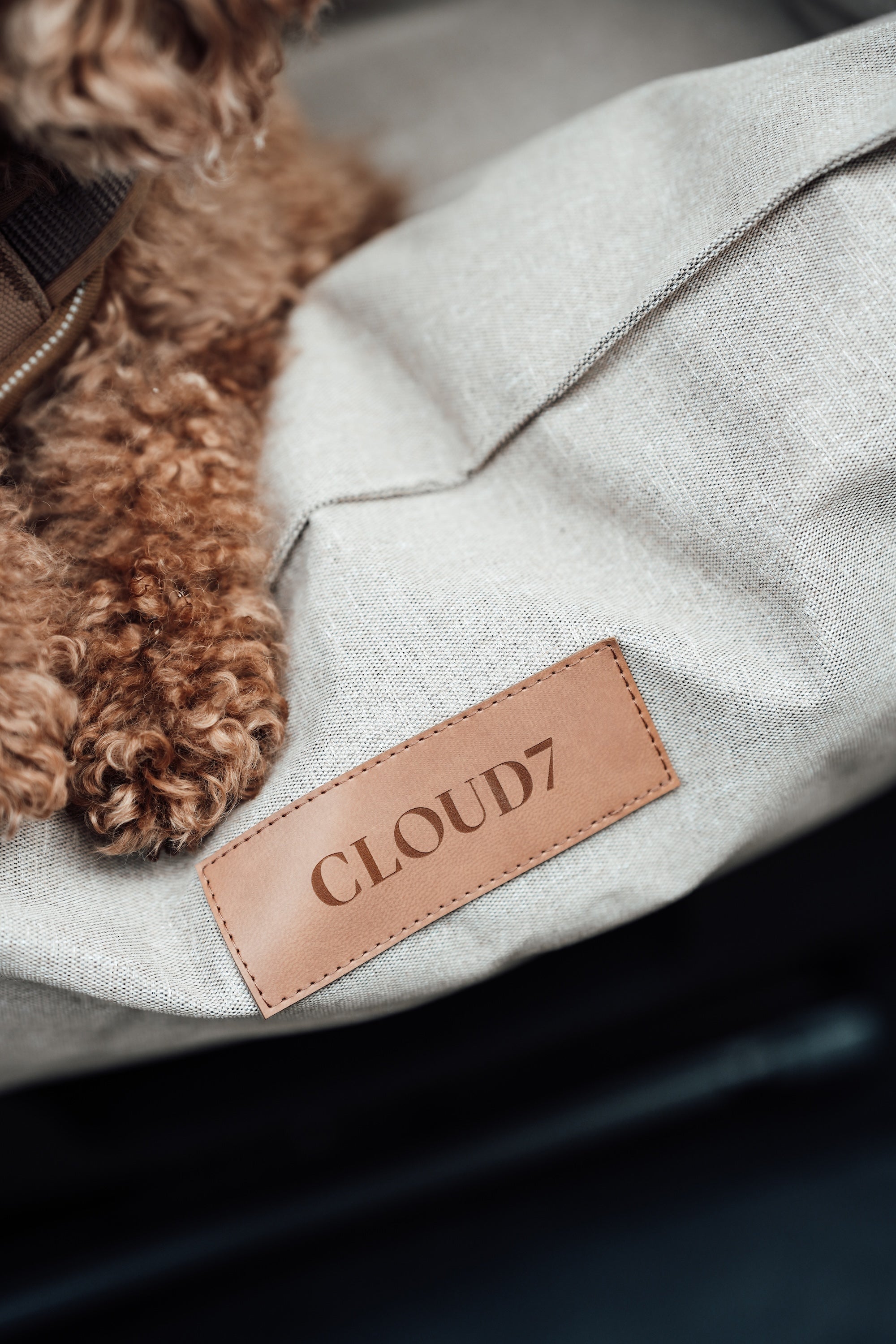 Cloud7 Hundeautositz Getaway Sand tragbar Autositz für Hunde waschbar Autositz Hund integrierte Leine