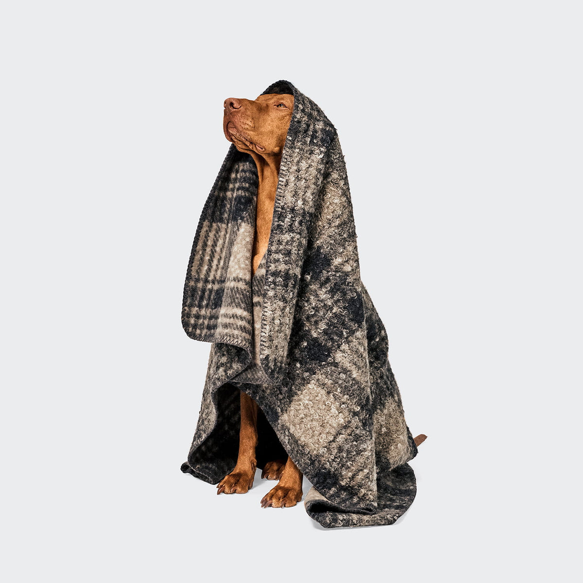 Cloud7 Hundedecke Bouclé Tartan Decke für Hunde