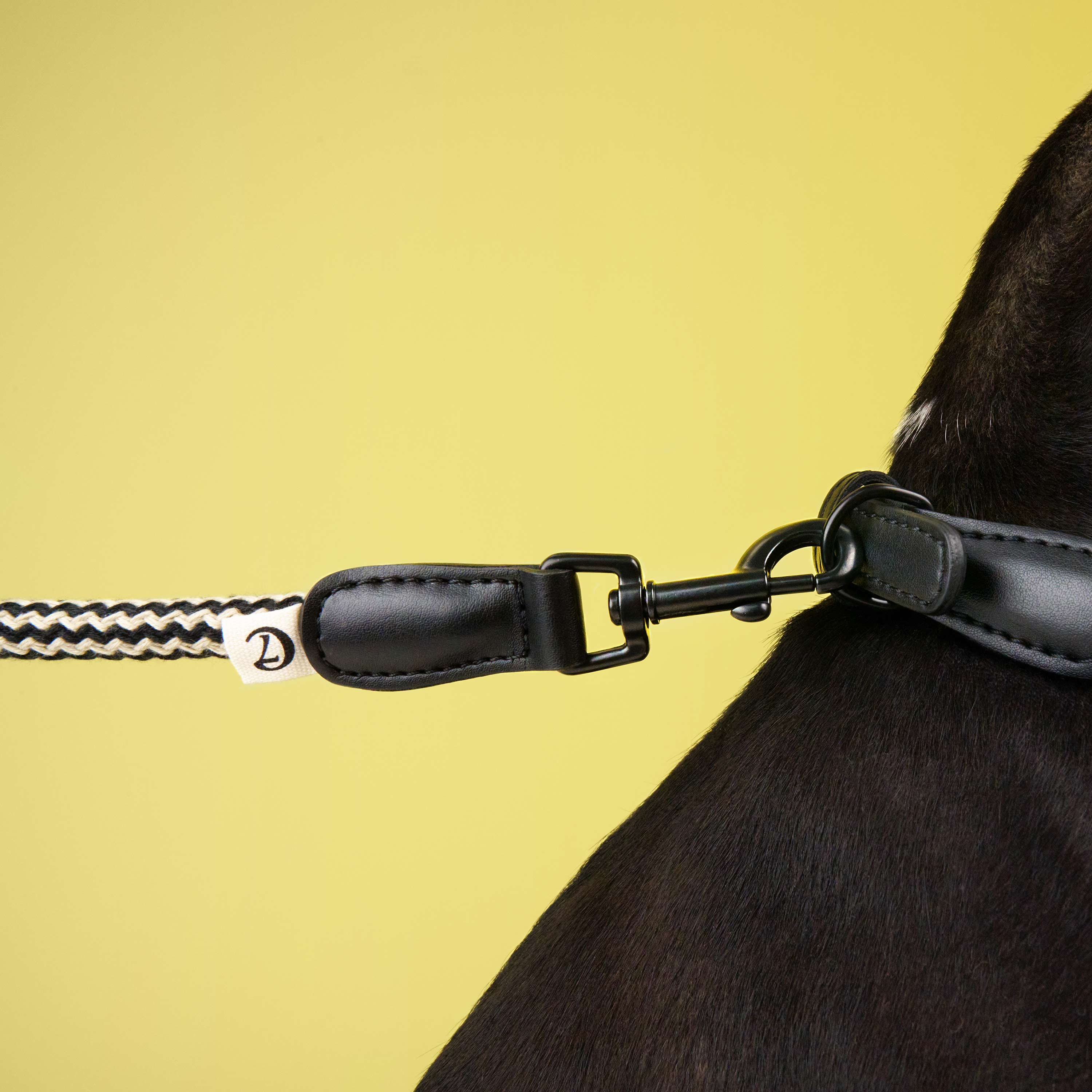 Cloud7 Hundeleine Mauerpark Zigzag Schwarz Hundeleine veganes Leder