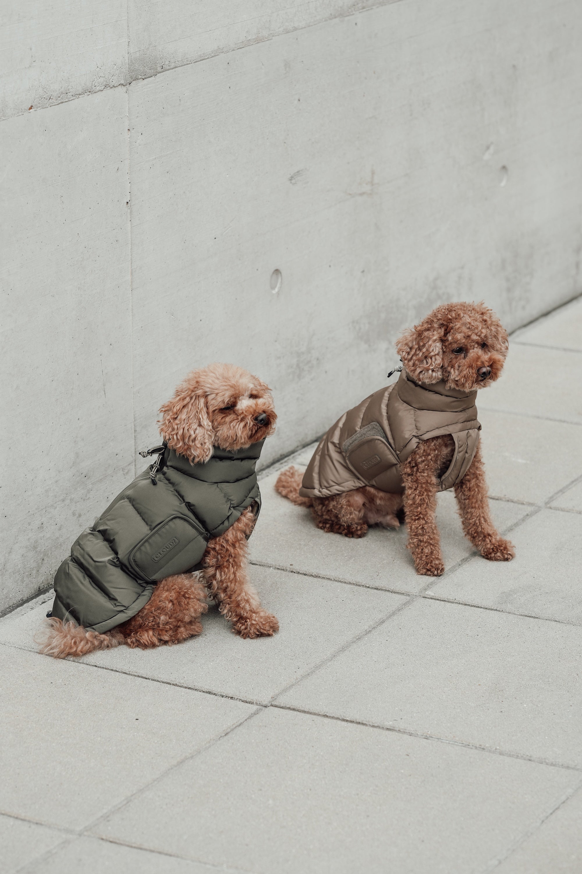 Cloud7 Hundemantel Alaska Light Olive Hundemantel Hundewintermantel