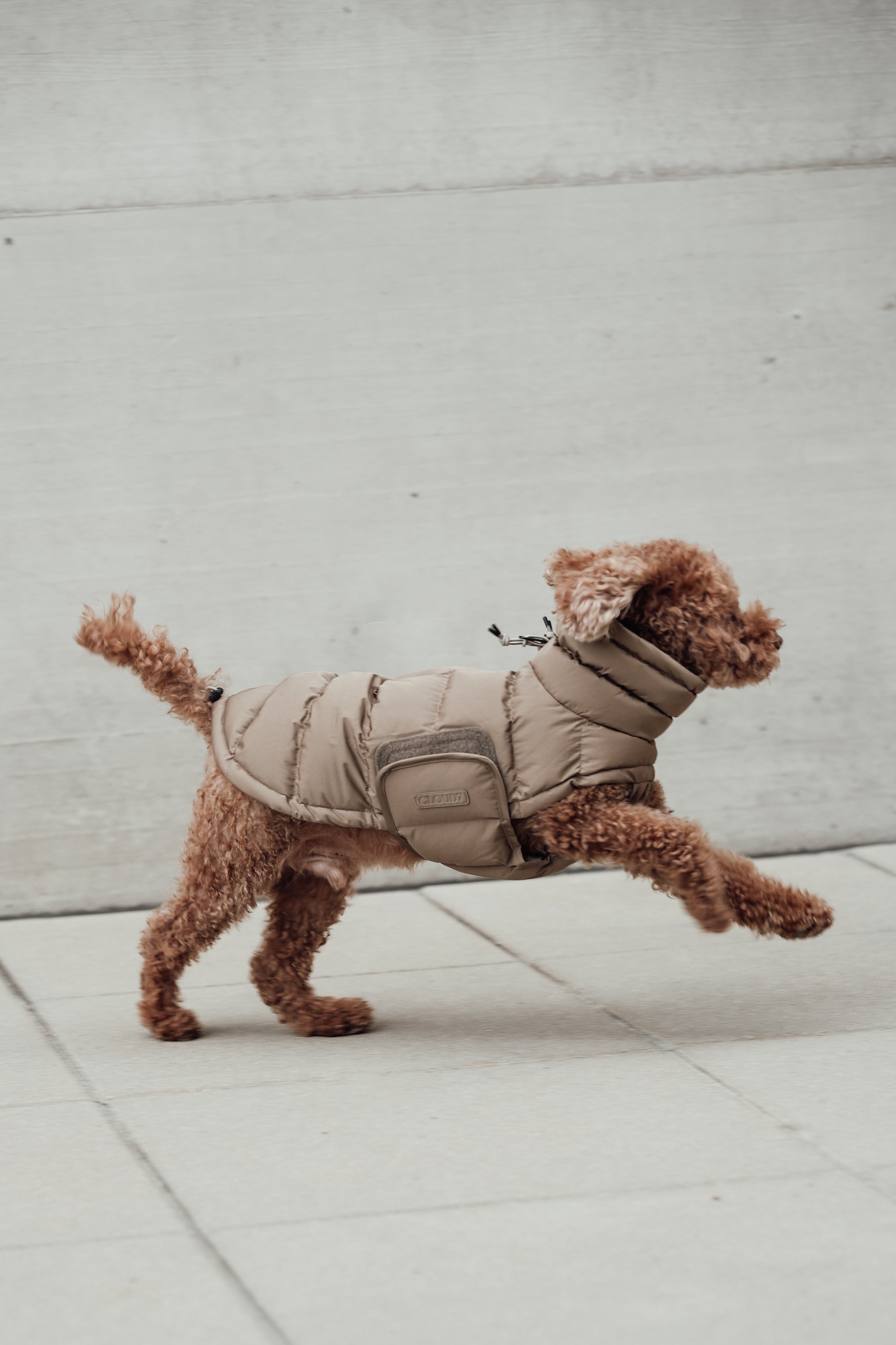 Cloud7 Hundemantel Alaska Sandy Brown Hundemantel Dackelmantel extra warm