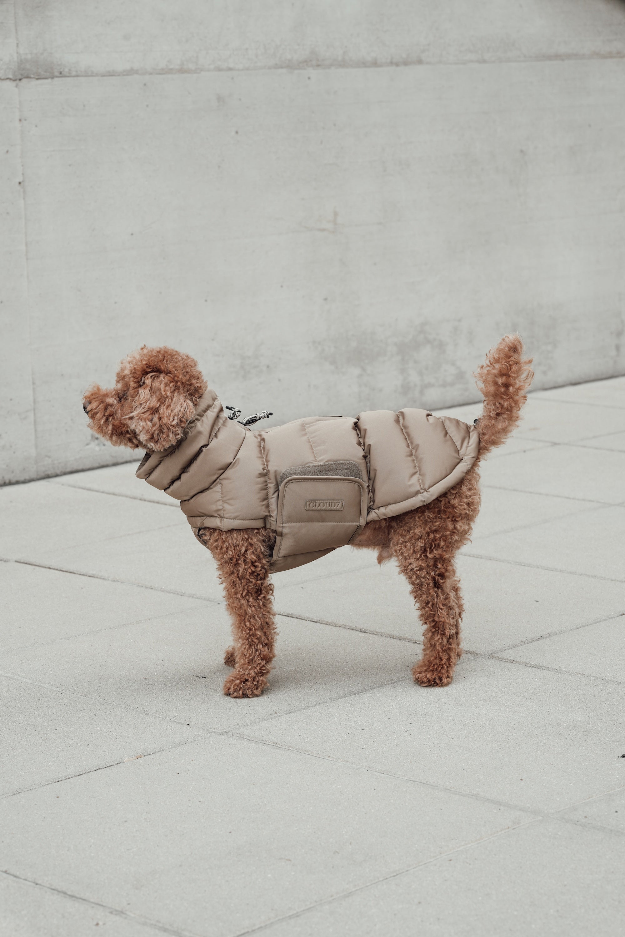 Cloud7 Hundemantel Alaska Sandy Brown Hundemantel Daunenmantel für Hunde