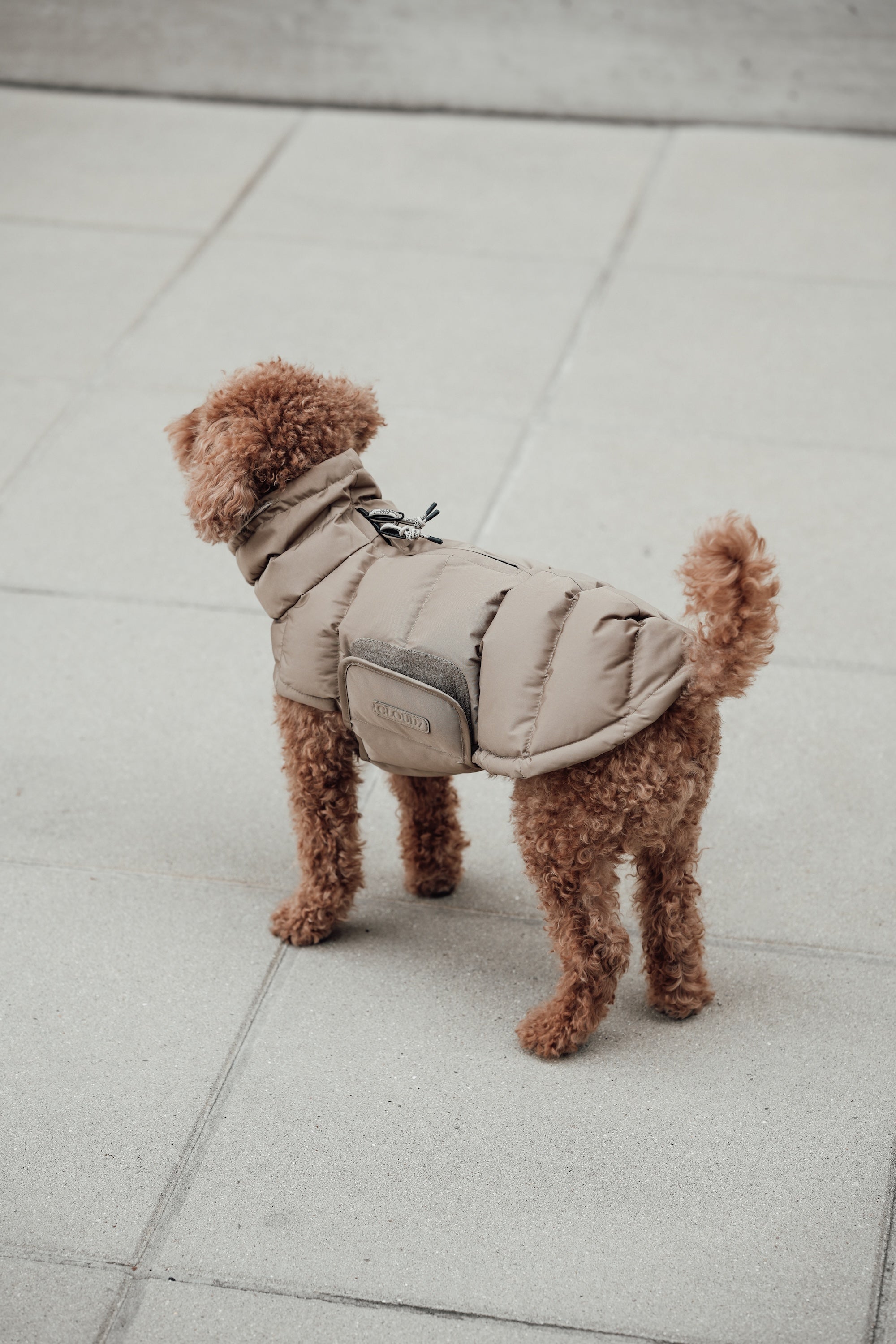 Cloud7 Hundemantel Alaska Sandy Brown Hundemantel Hundewintermantel Dackel