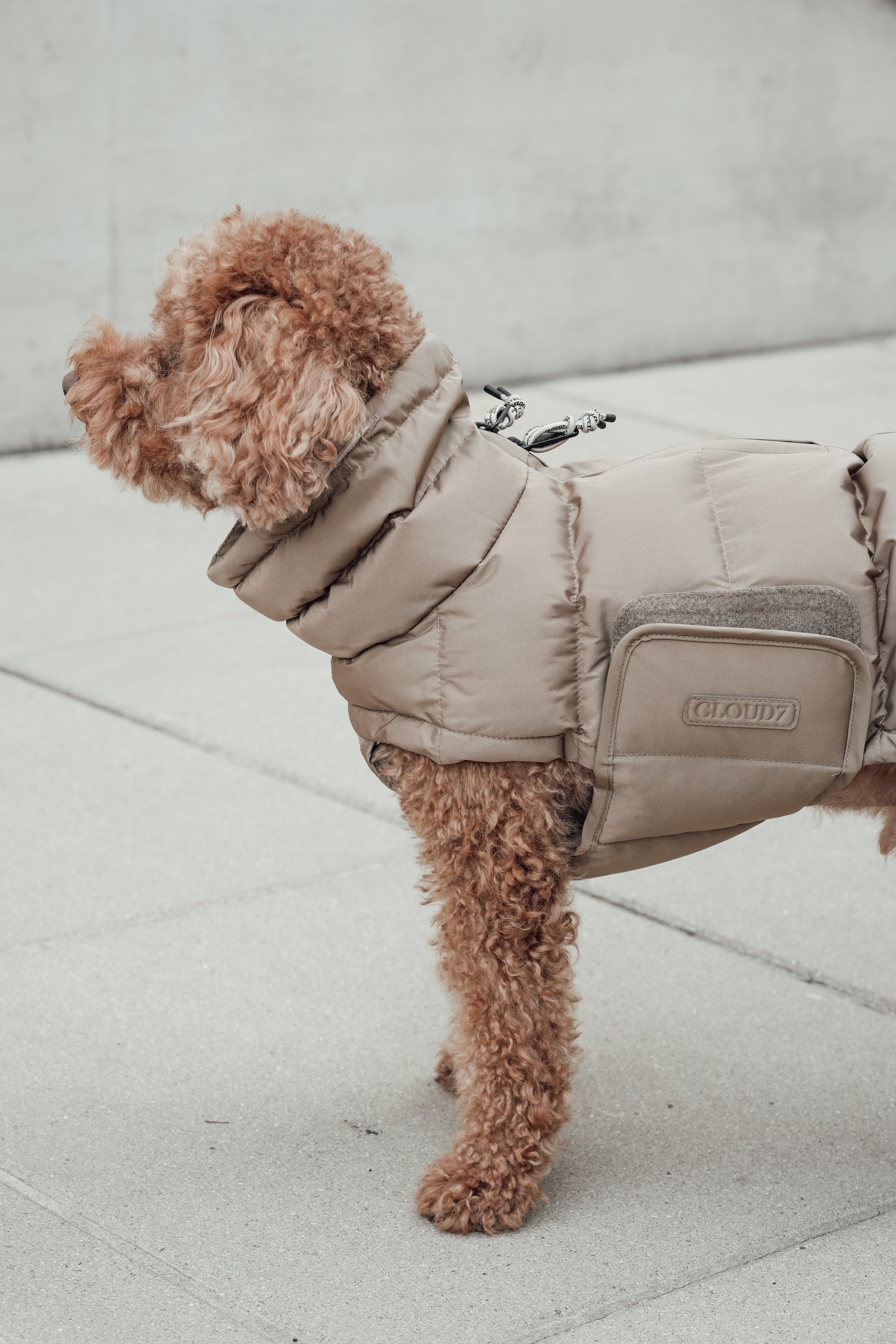 Cloud7 Hundemantel Alaska Sandy Brown Hundemantel Hundewintermantel Dackel