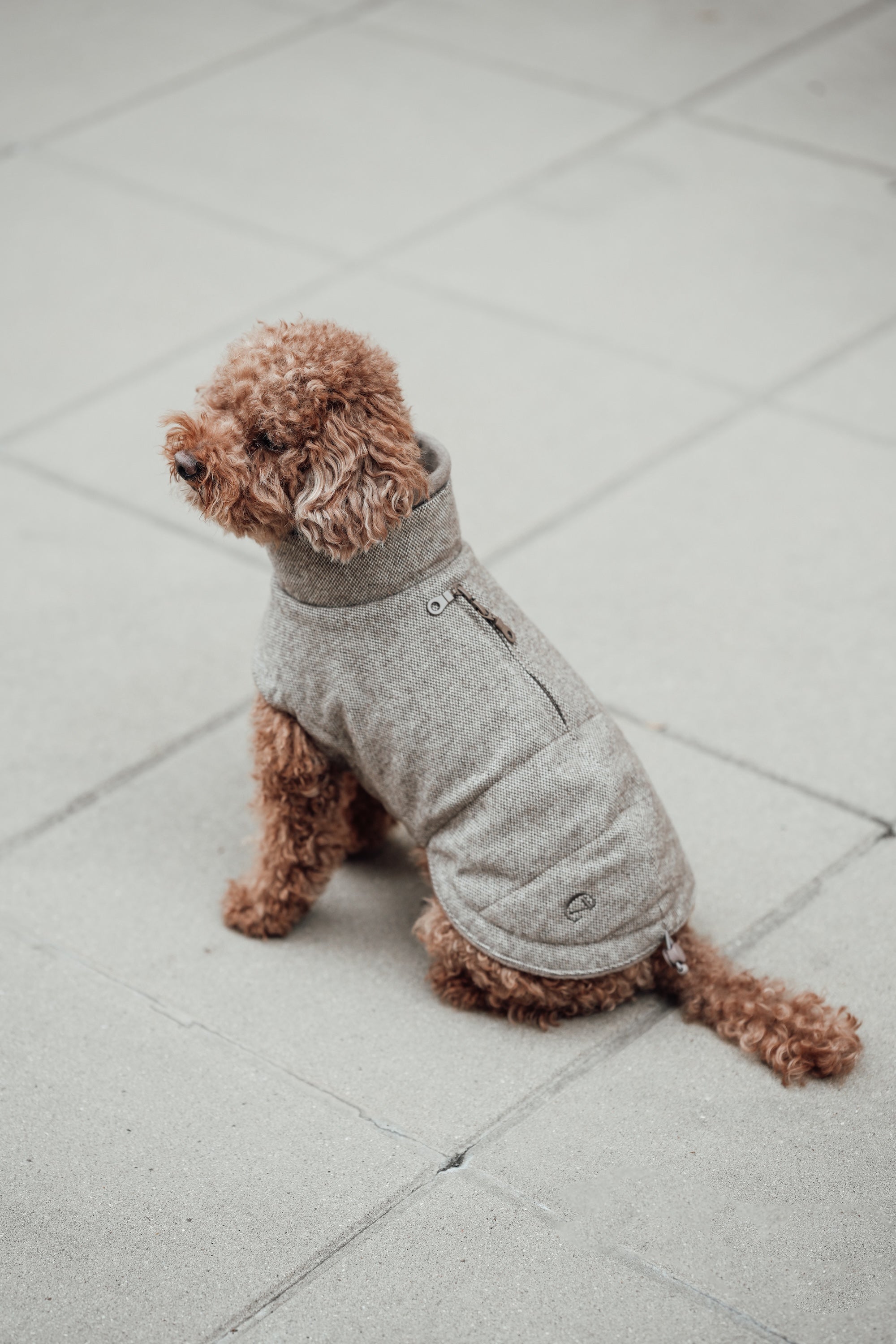 Cloud7 Hundemantel Brooklyn Tweed Beige LEVEY Hundemantel wasserabweisend