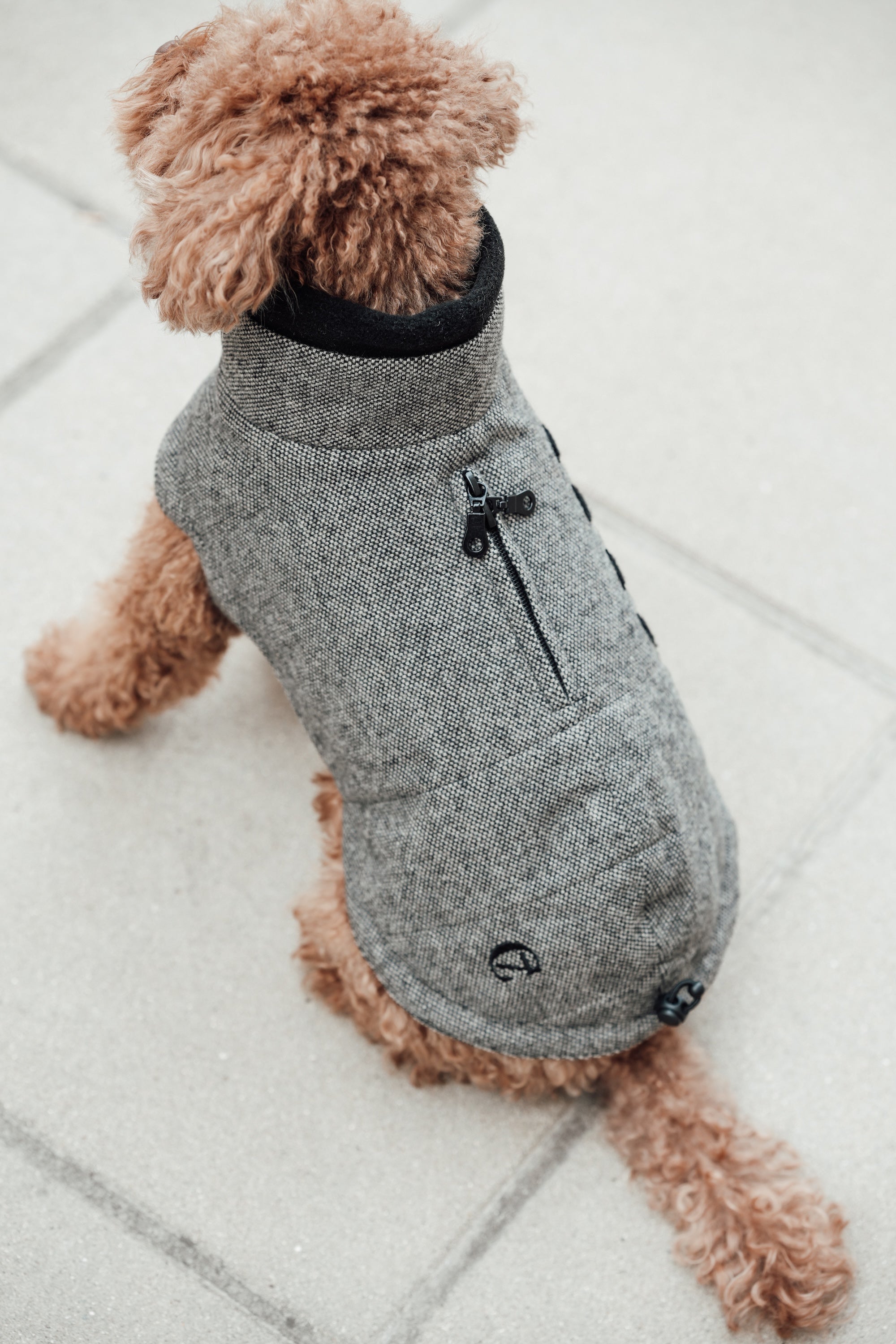  Wintermantel für Hunde