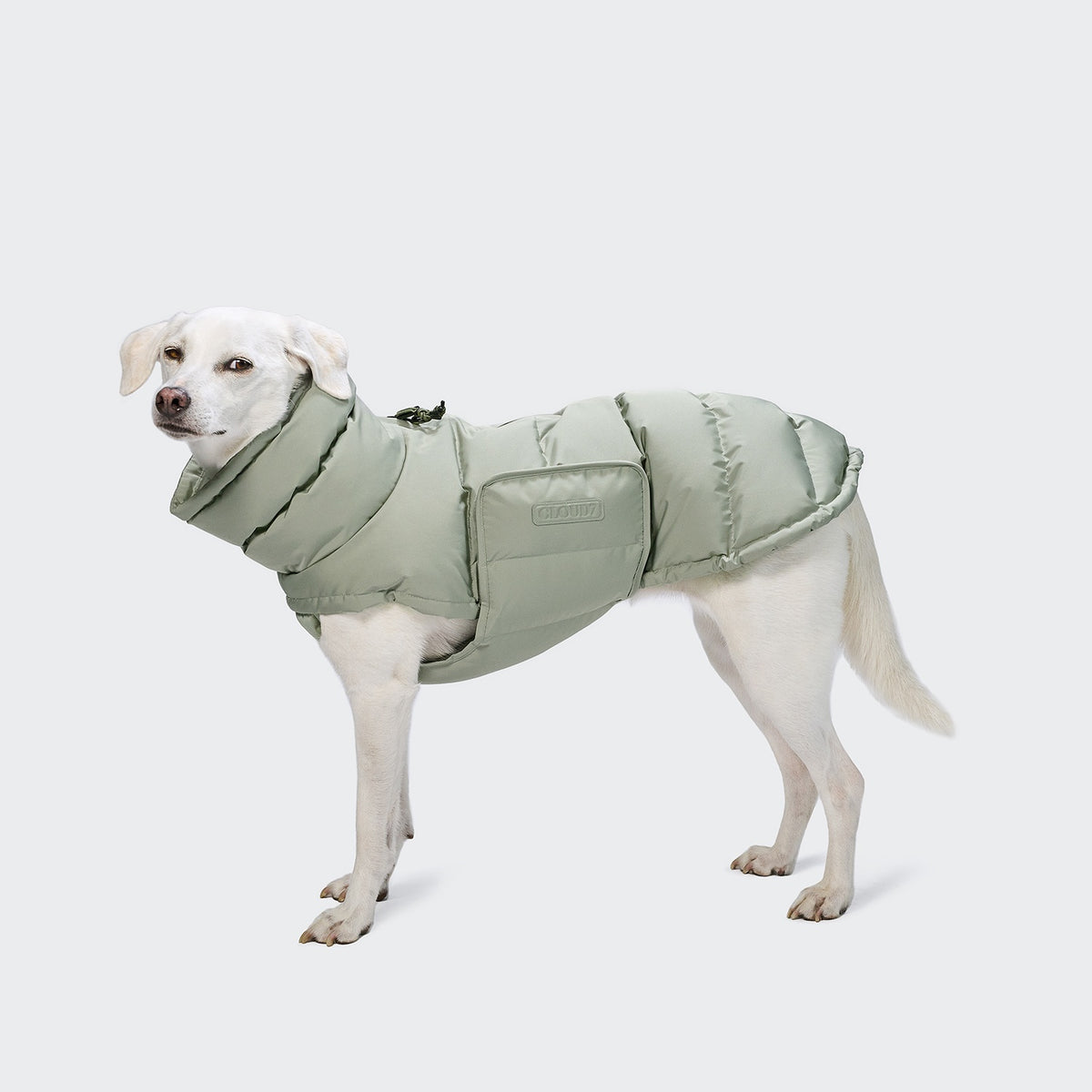 Cloud7 Hundemantel Alaska Dusty Mint Hundewintermantel wasserdicht