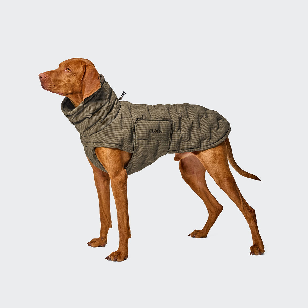 Cloud7 Hundemantel Alaska Seersucker Coffee Hundewintermantel wasserdicht