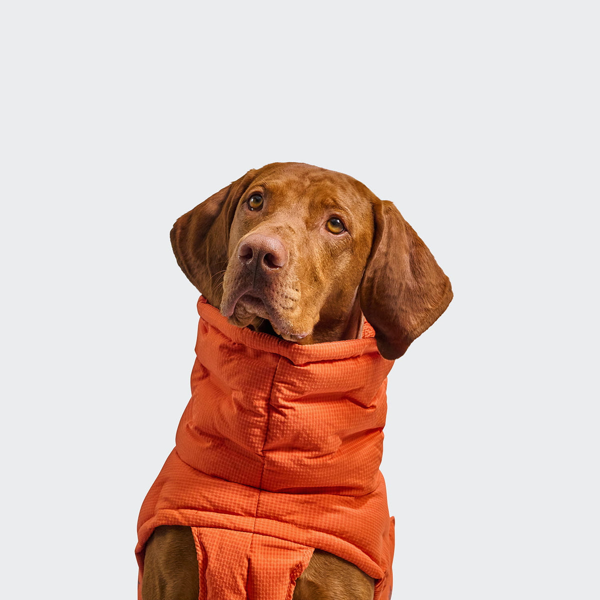 Cloud7 Hundemantel Alaska Seersucker Orange