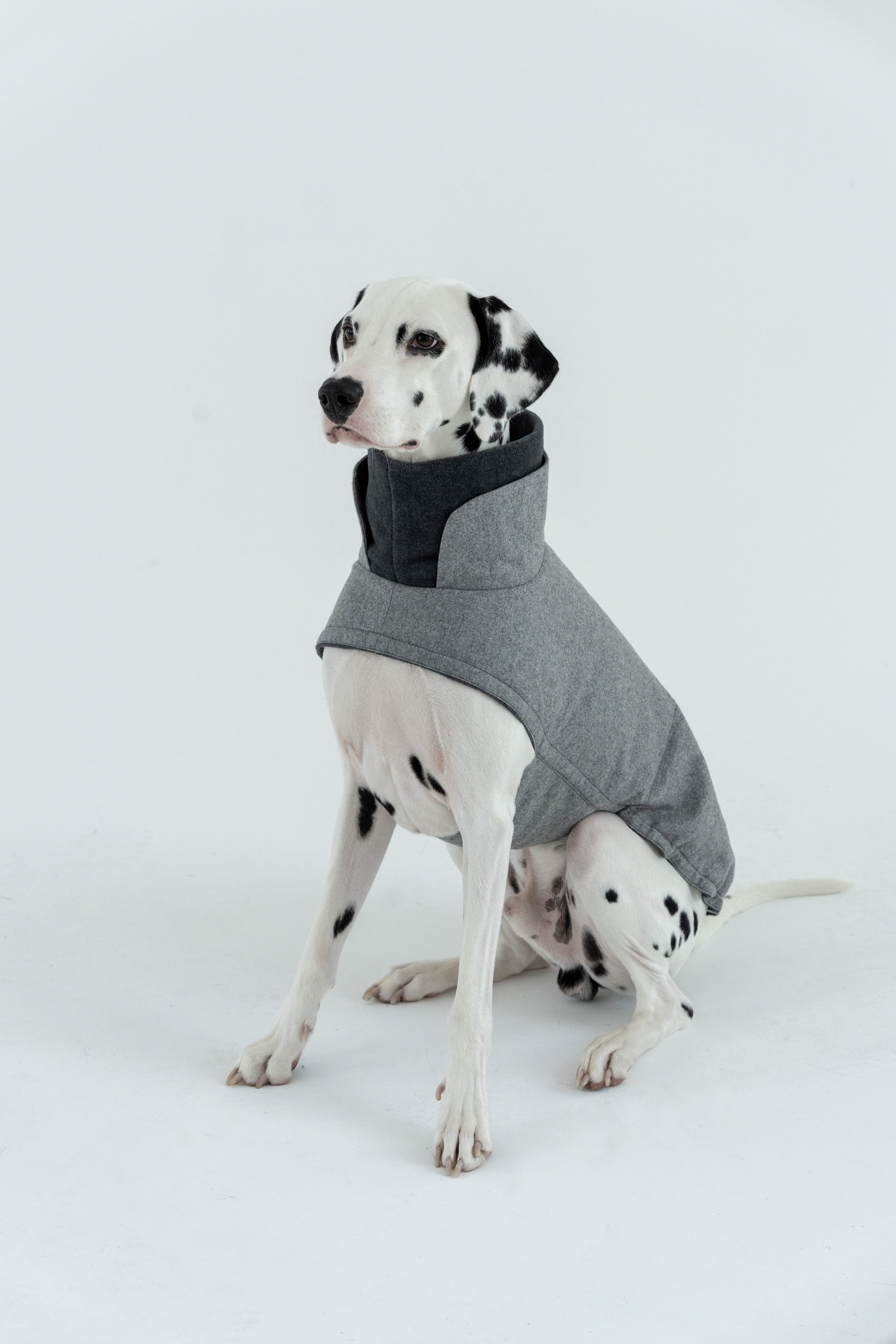 Cloud7 Hundemantel Brooklyn Flanell Grey Hundewintermantel mit Bauchschutz