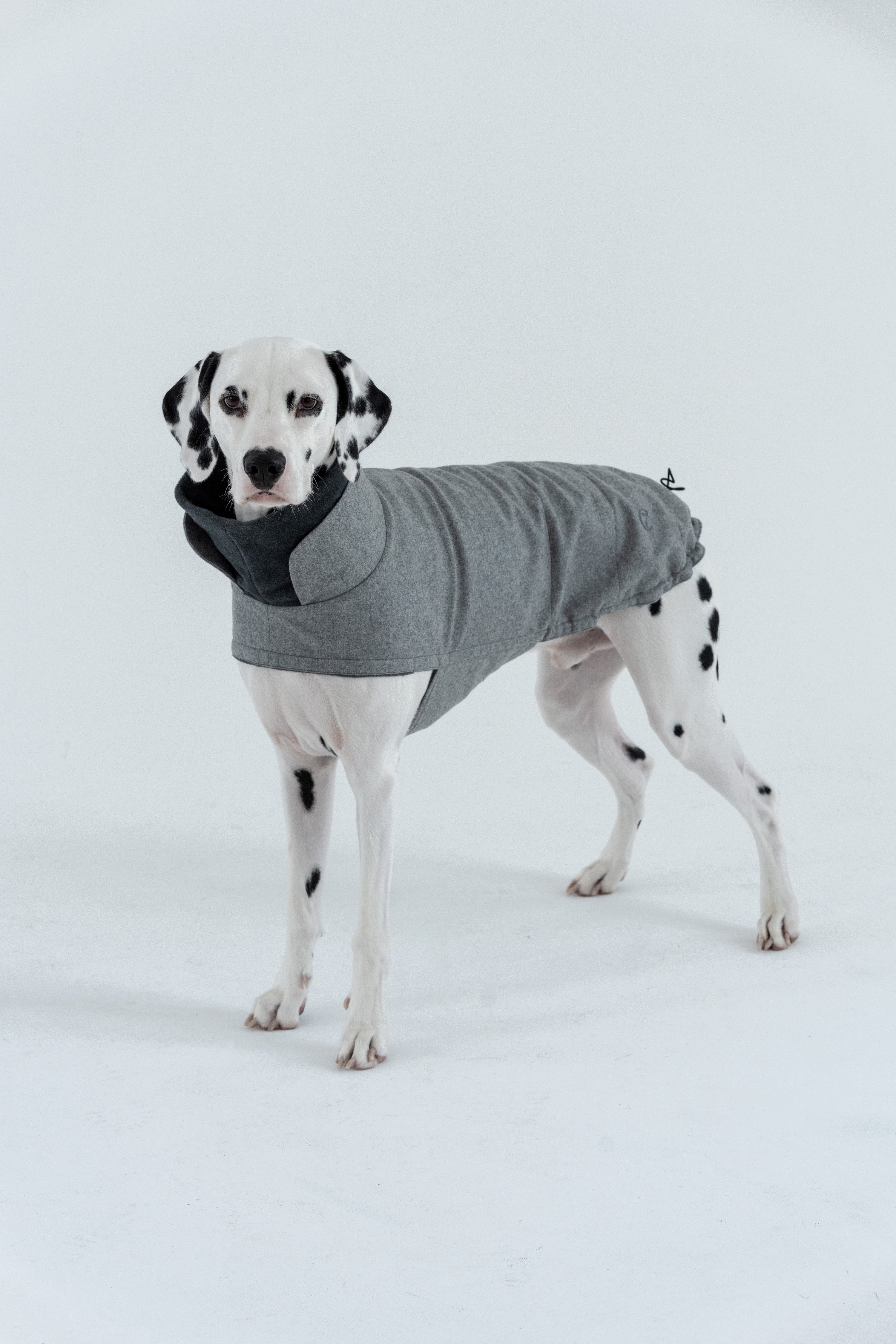 Cloud7 Hundemantel Brooklyn Flanell Grey Hundewintermantel wasserabweisend