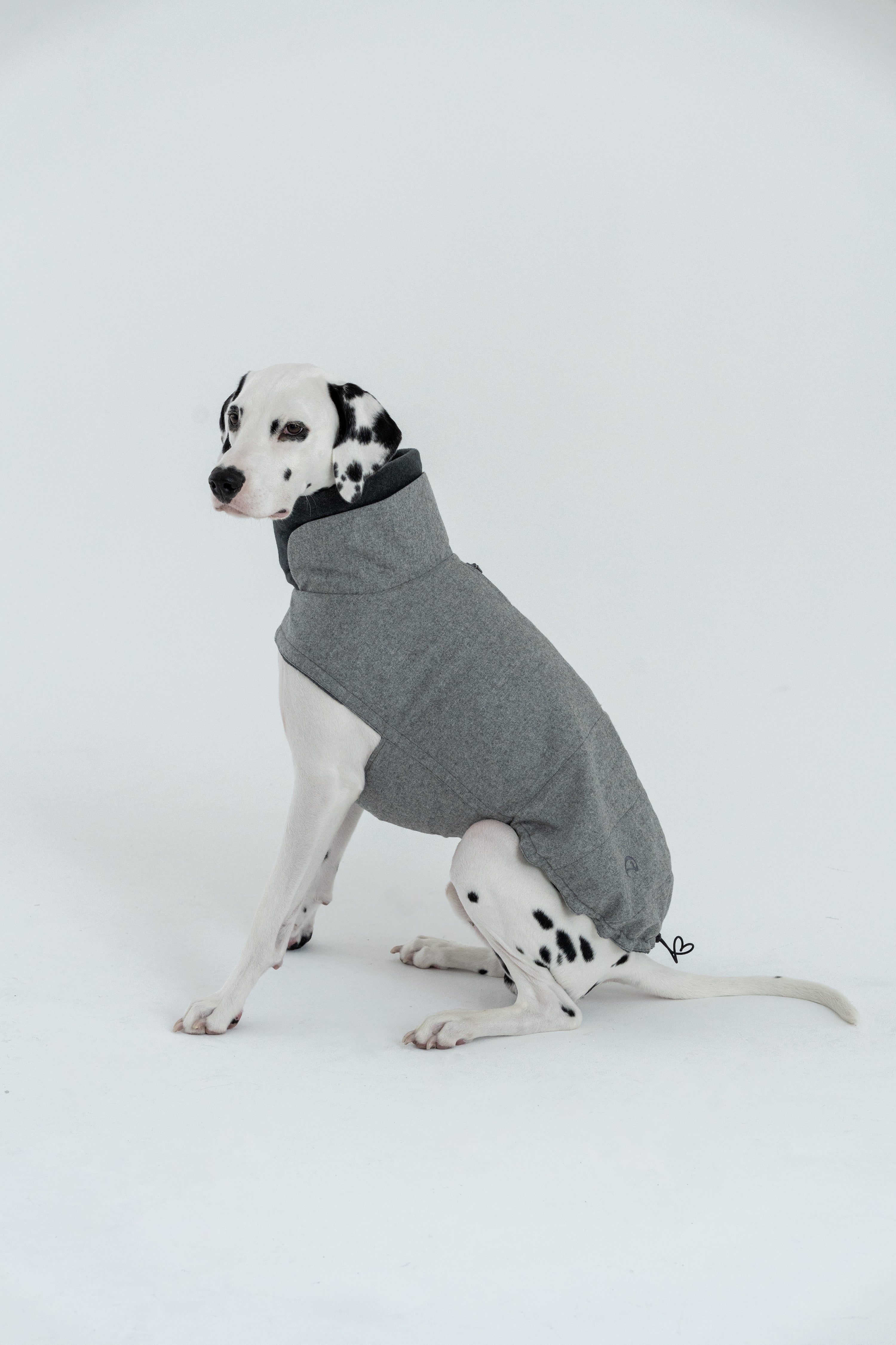 Cloud7 Hundemantel Brooklyn Flanell Grey Wintermantel für Hunde mit Bauchschutz