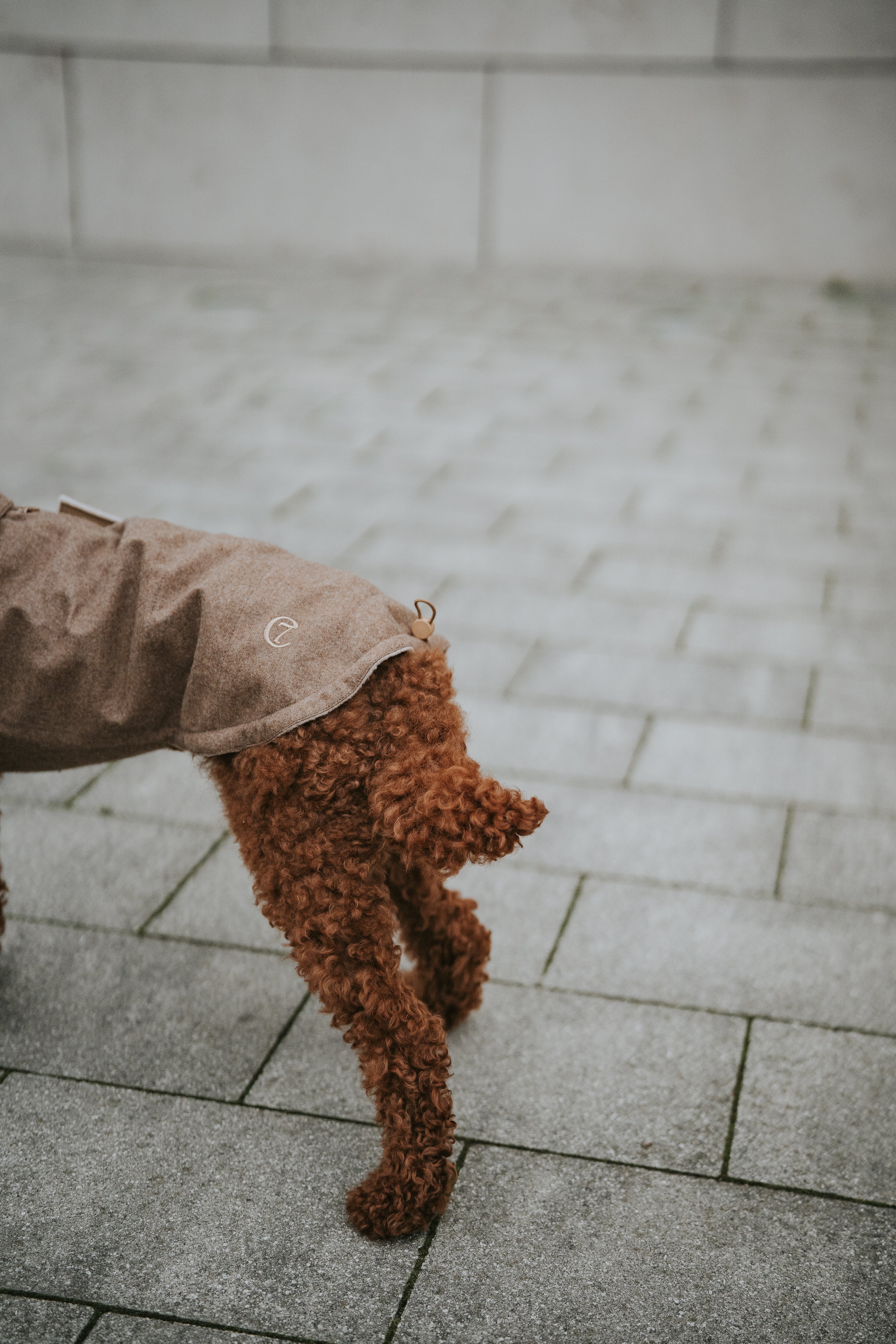 Cloud7 Hundemantel Brooklyn Flanell Hazel Hundewintermantel wasserabweisend