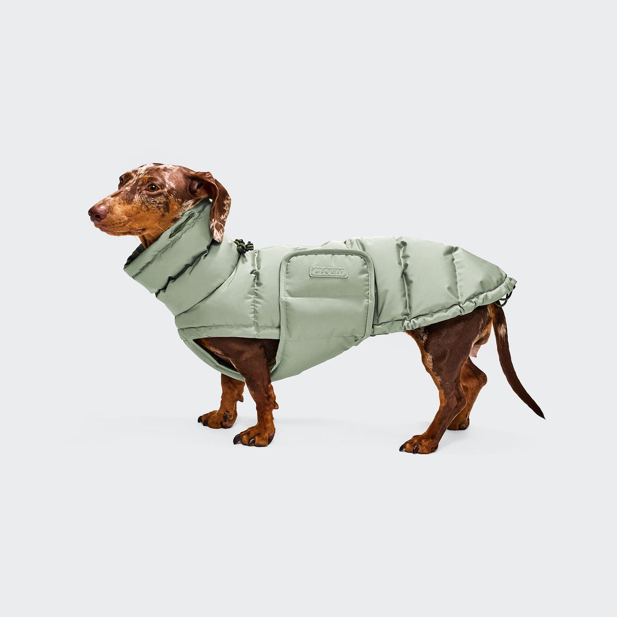 Cloud7 Hundemantel DACKEL Alaska Dusty Mint Hundewintermantel lang