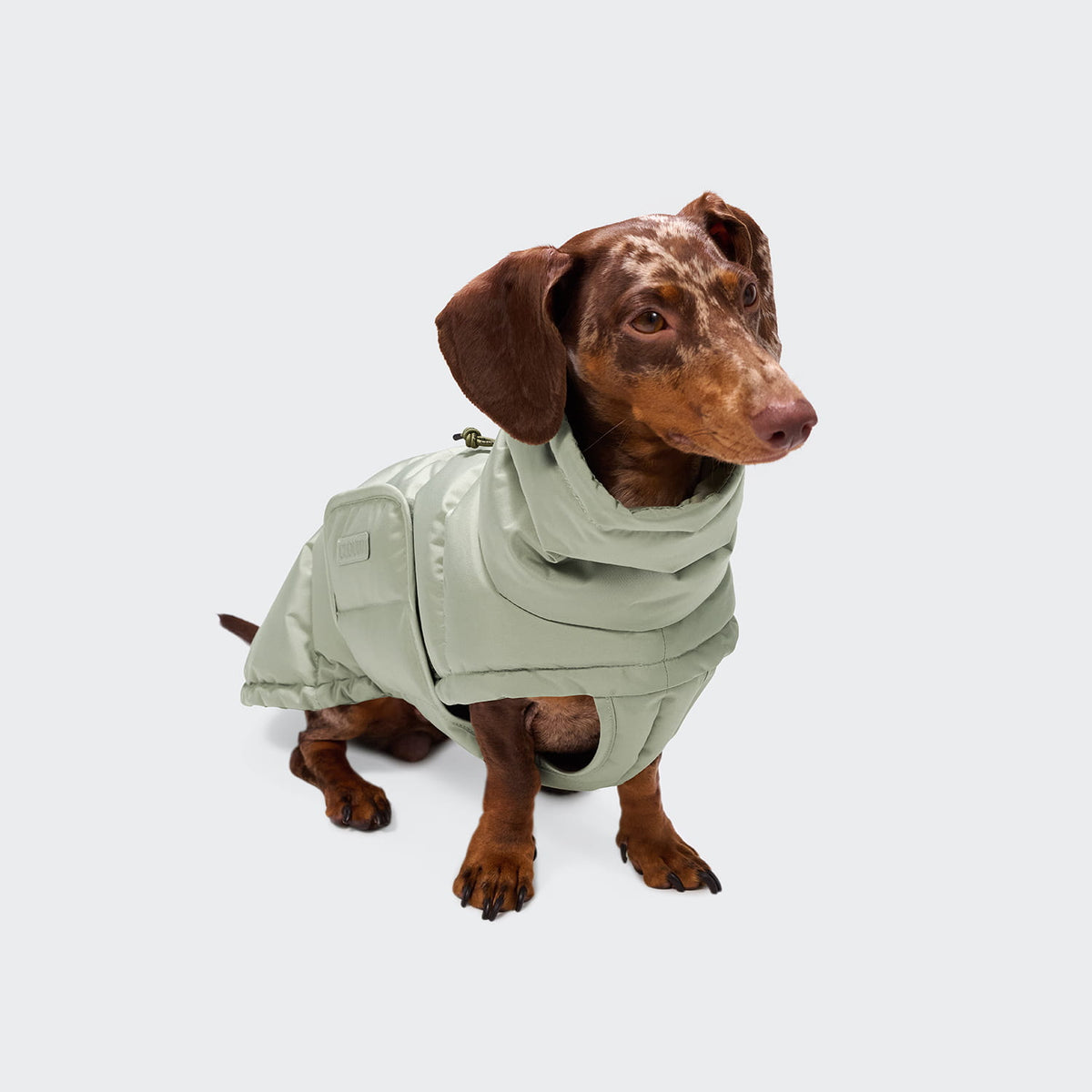 Cloud7 Hundemantel DACKEL Alaska Dusty Mint Hundewintermantel wasserabweisend