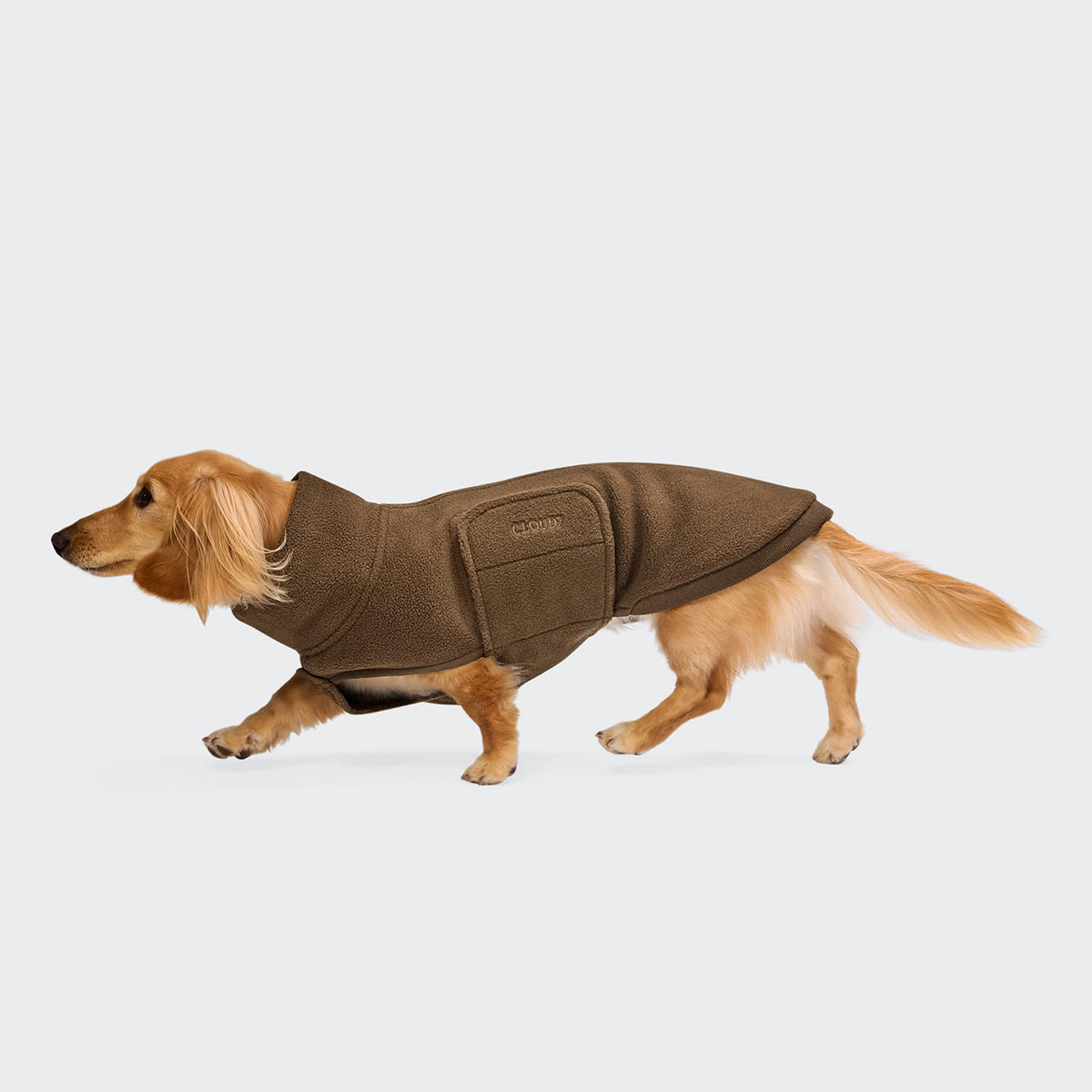 Cloud7 Hundepullover DACKEL Derby 2.0 Coffee Dackelmantel