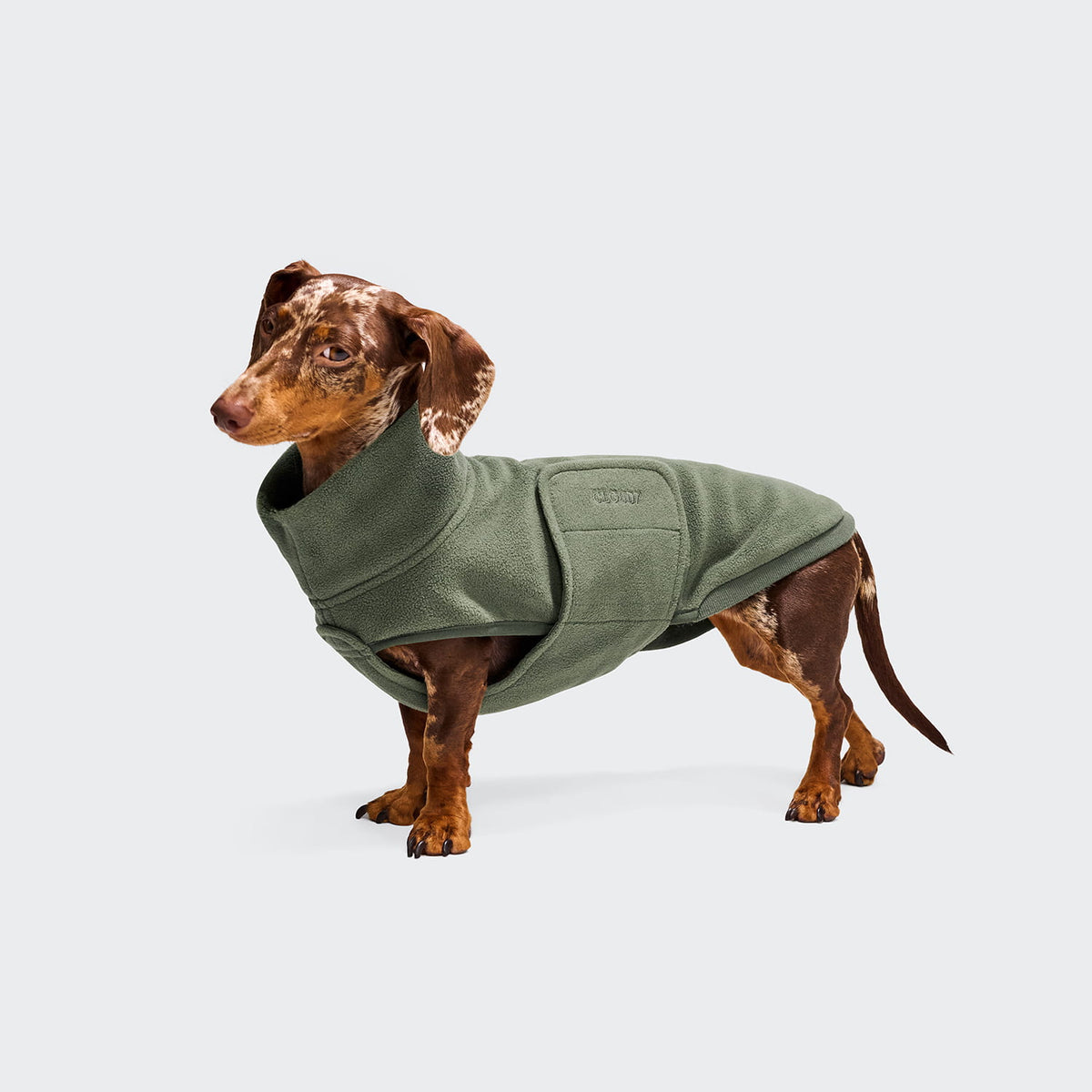 Cloud7 Hundepullover DACKEL Derby 2.0 Khaki Hundemantel