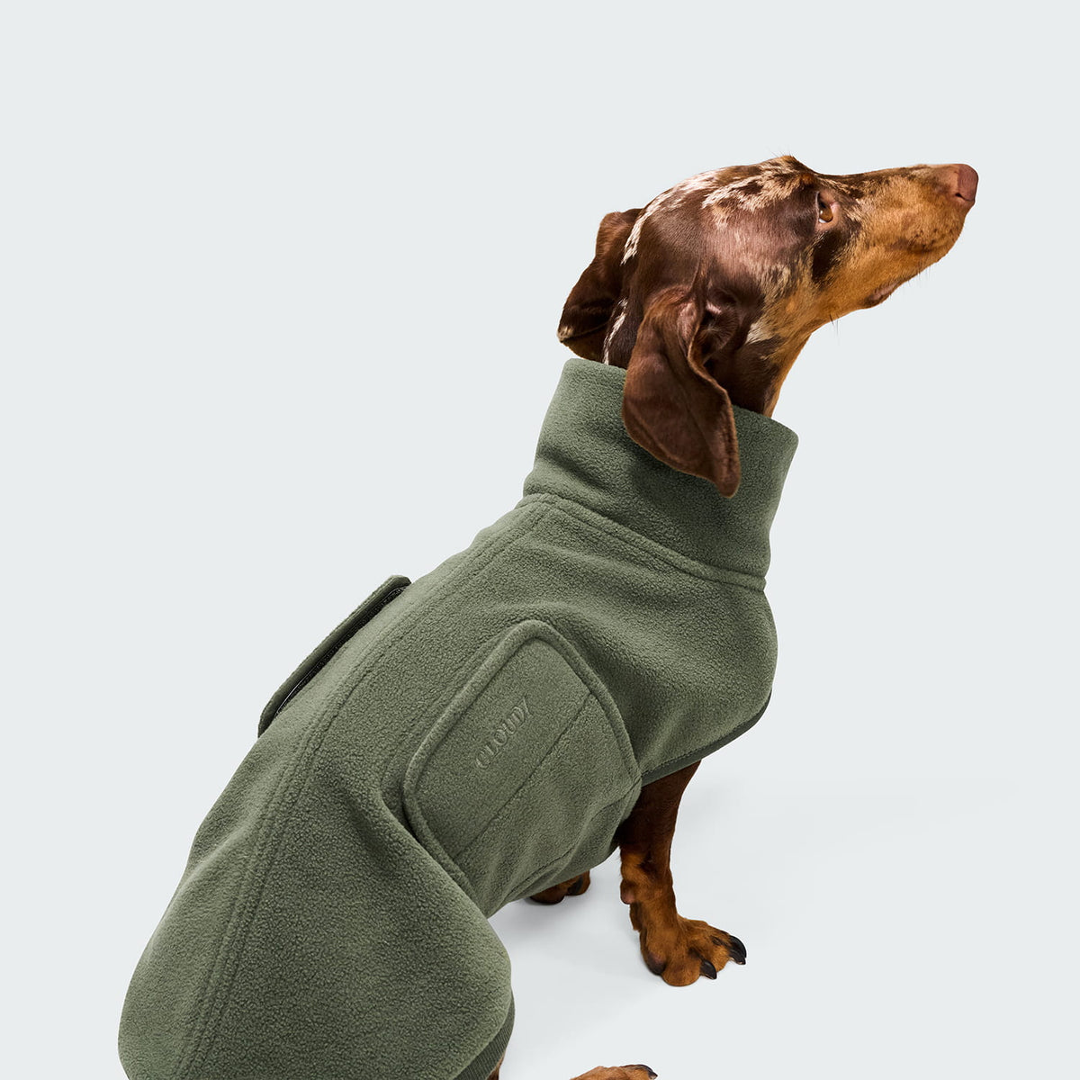 Cloud7 Hundepullover DACKEL Derby 2.0 Khaki Hundepullover lang