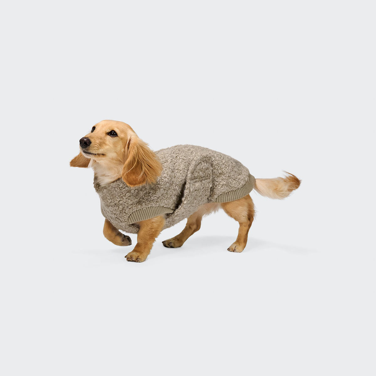 Cloud7 Hundepullover DACKEL Gotland Sandy Brown