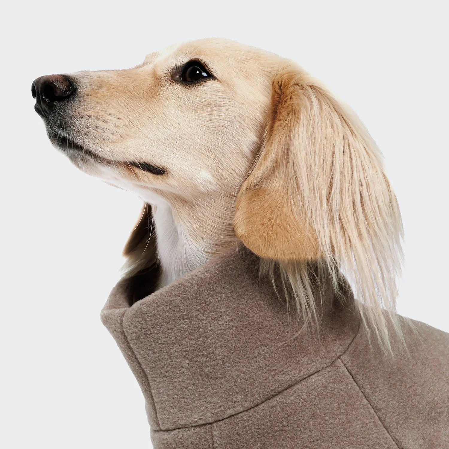 Cloud7 Hundepullover DACKEL Fleece Cornwall Toffee Dackelpullover Dackelmantel für Winter
