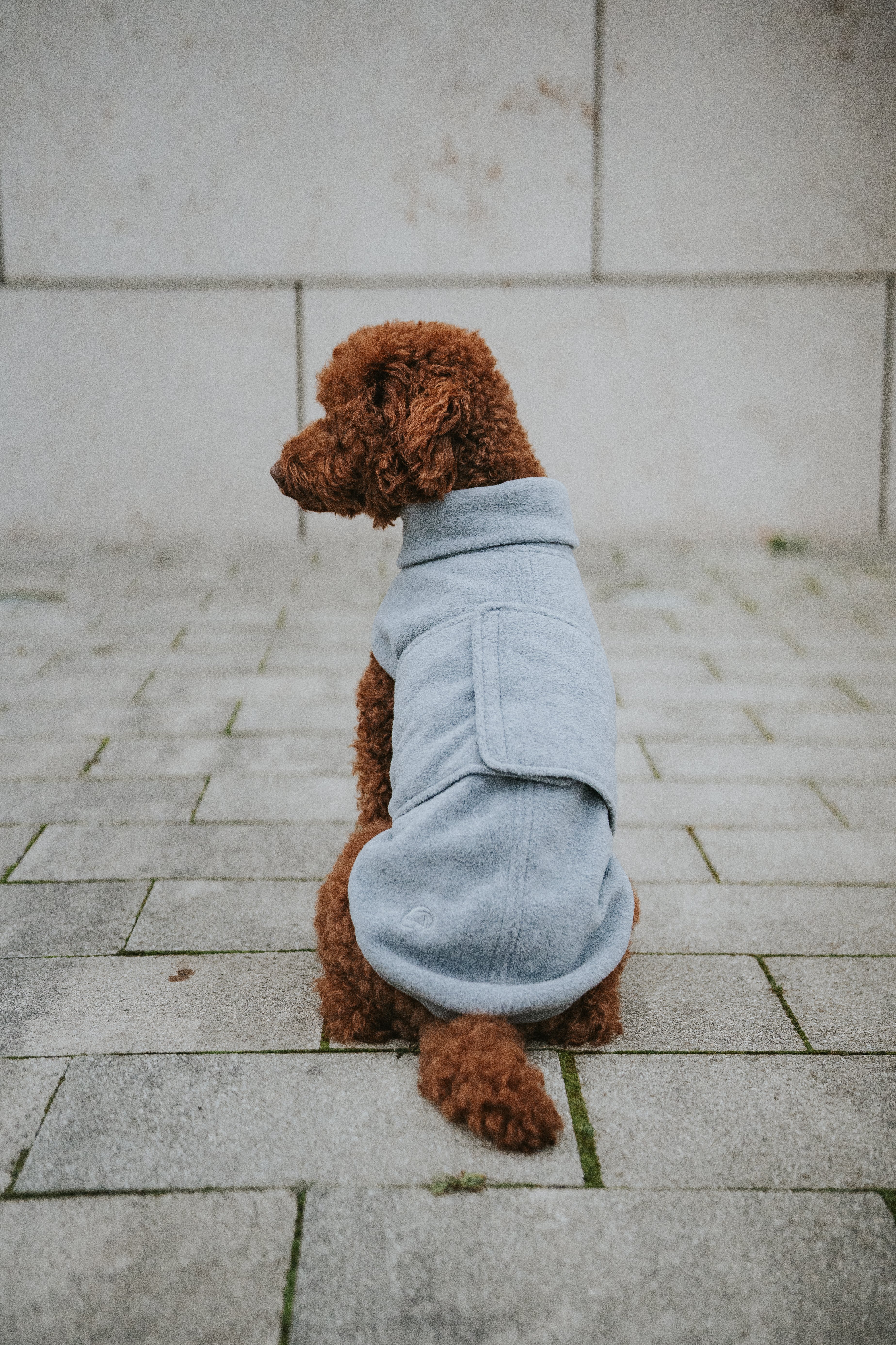 Cloud7 Hundepullover Fleece Derby Light Grey Hundemantel Winter Bauchschutz Wasserdicht