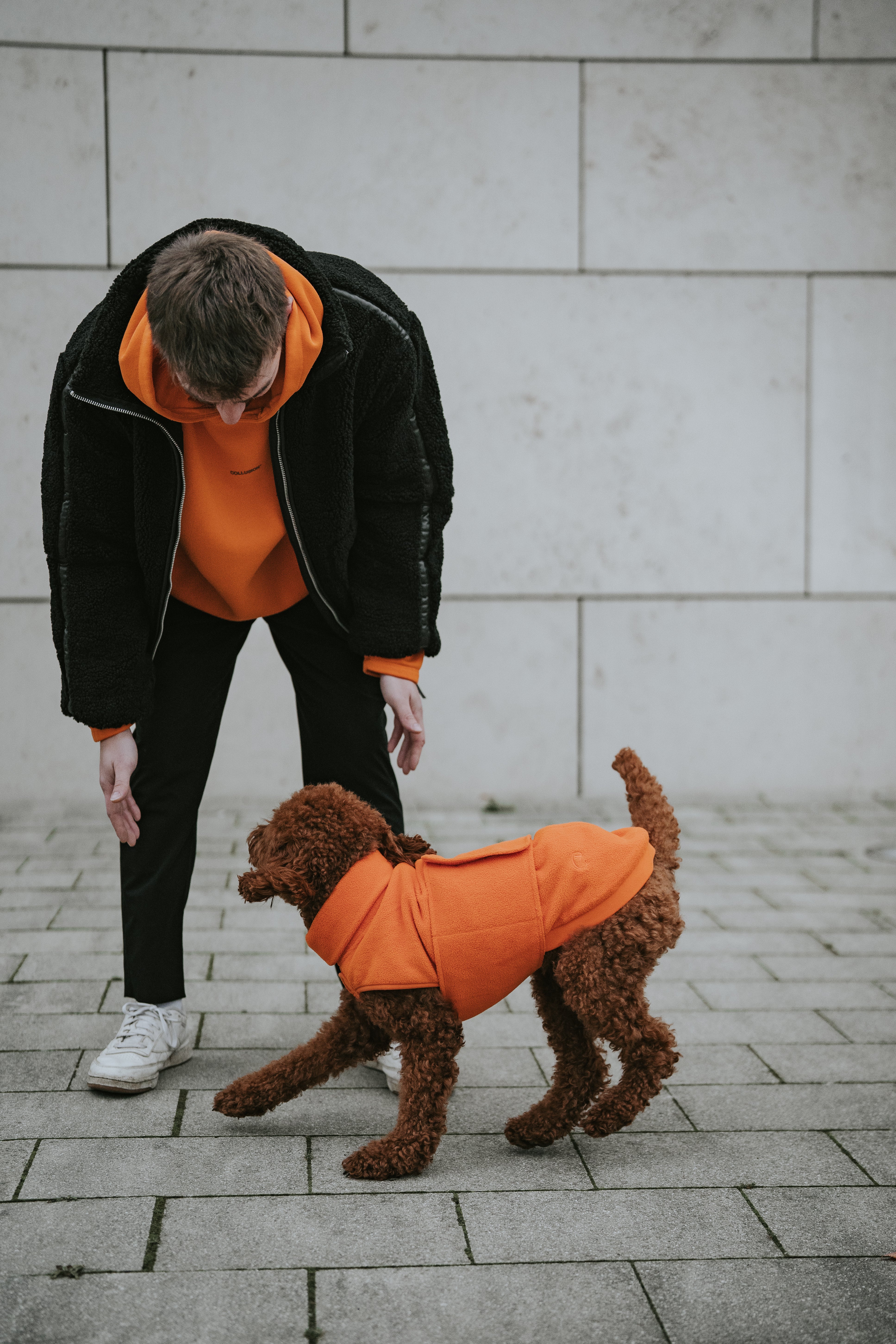 Cloud7 Hundepullover Fleece Derby Orange Hundewintermantel wasserabweisend Bauchschutz