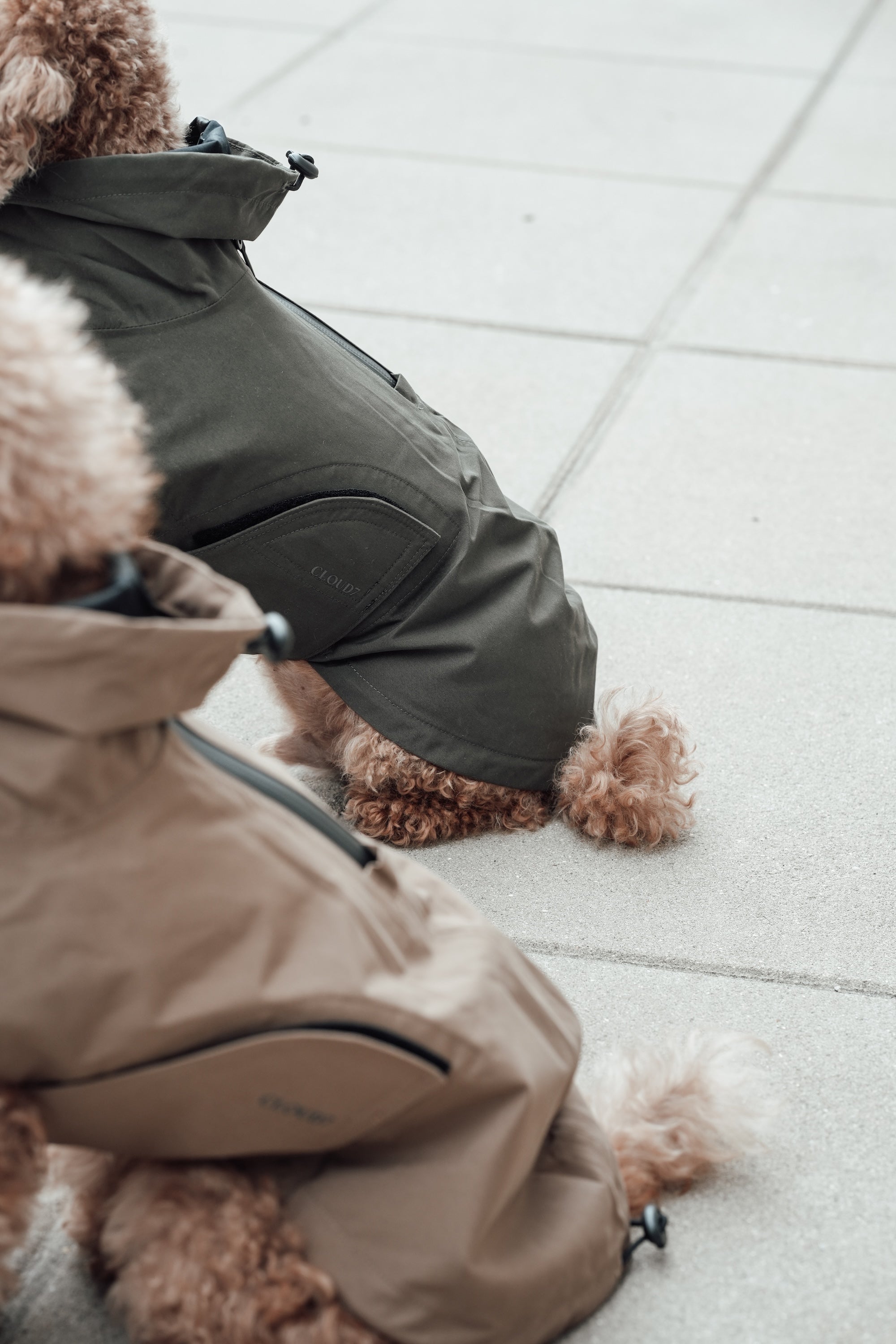 Cloud7 Hunderegenmantel Dublin Dark Olive Regenmantel für Hunde Hunderegenmantel warm