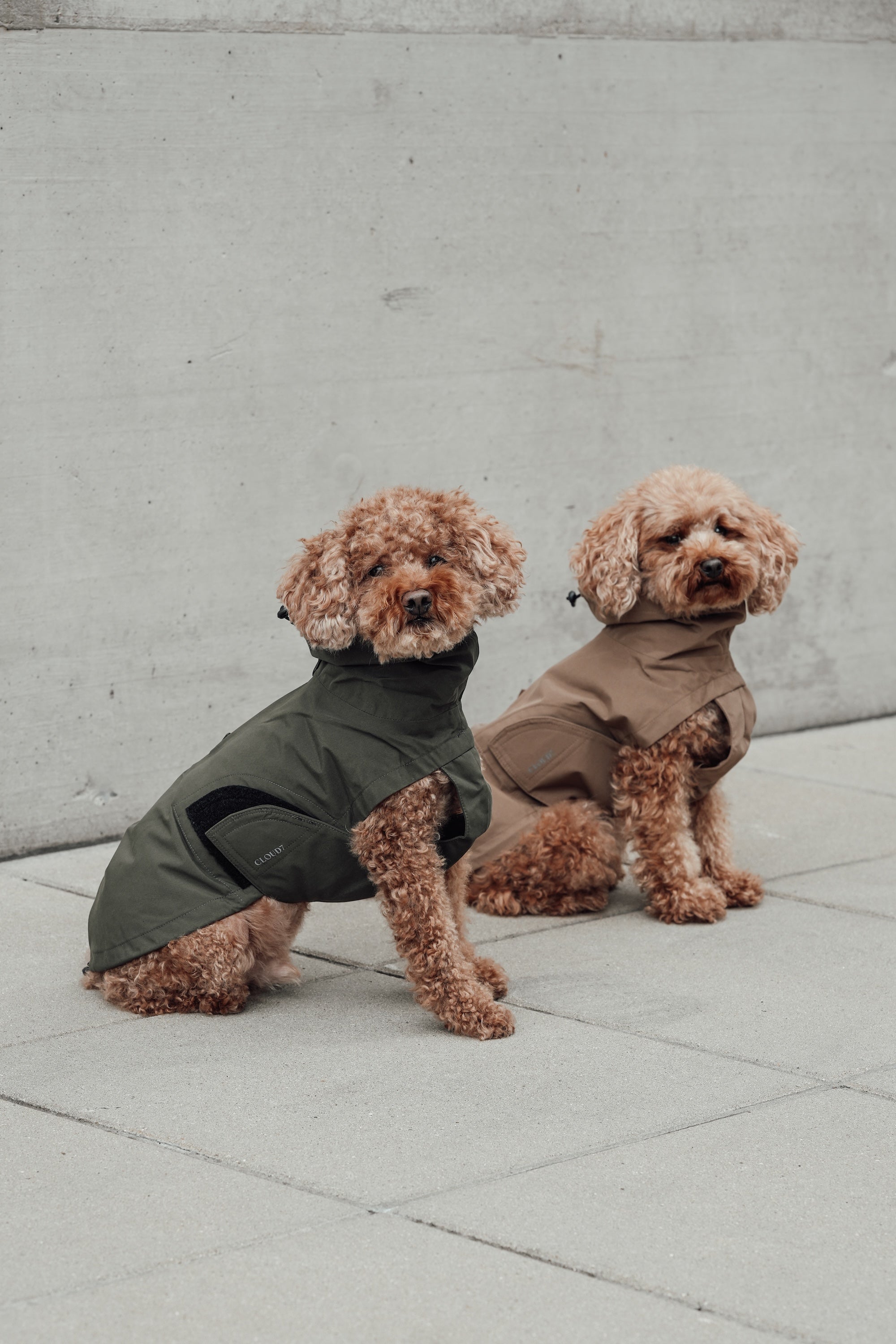 Cloud7 Hunderegenmantel Dublin Dark Olive Regenmantel für Hunde Hunderegenmantel wasserdicht