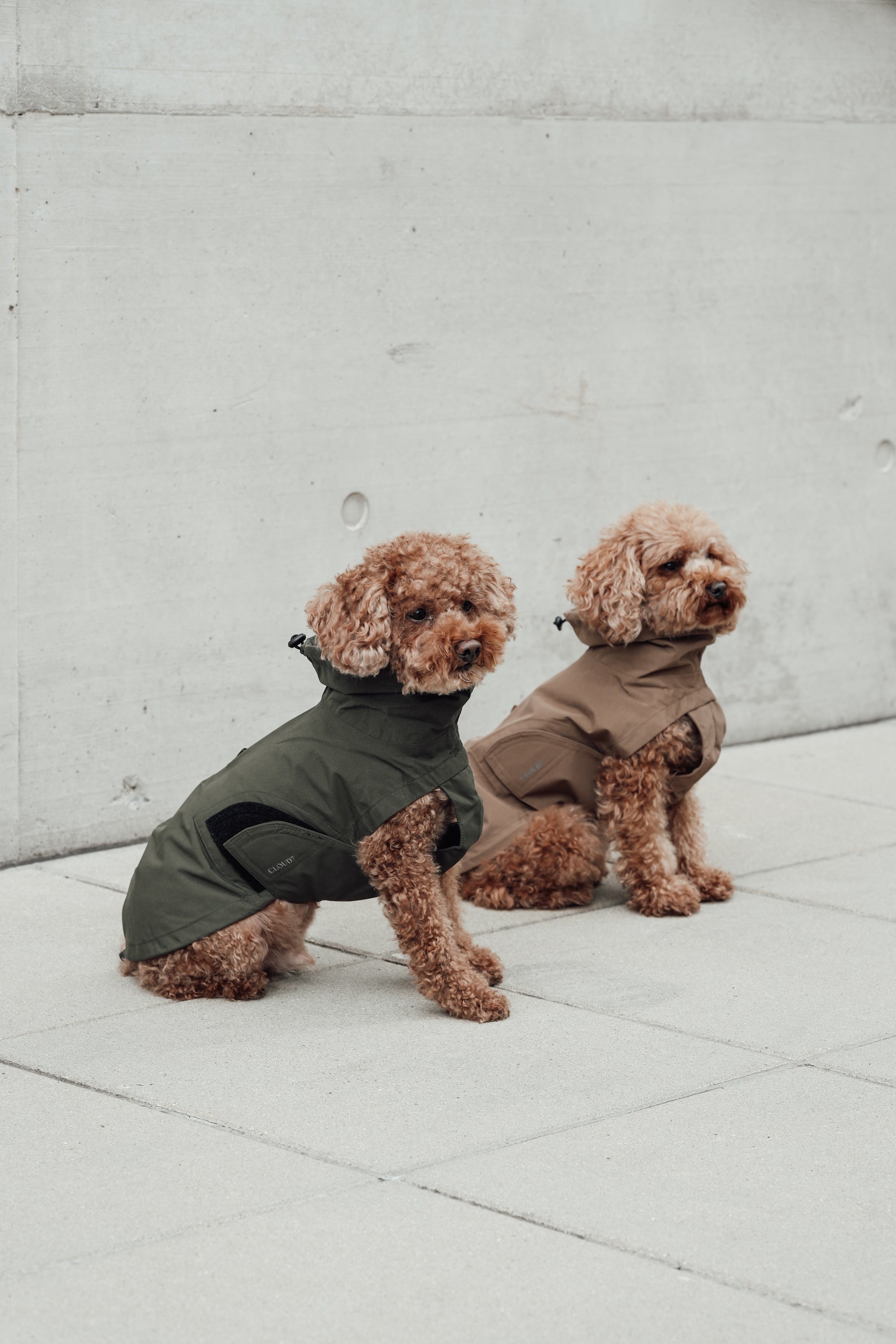 Cloud7 Hunderegenmantel Dublin Dark Olive Regenmantel für Hunde Hunderegenmantel